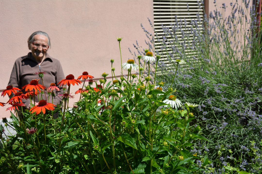 Prostočasne aktivnosti posebnega poletja