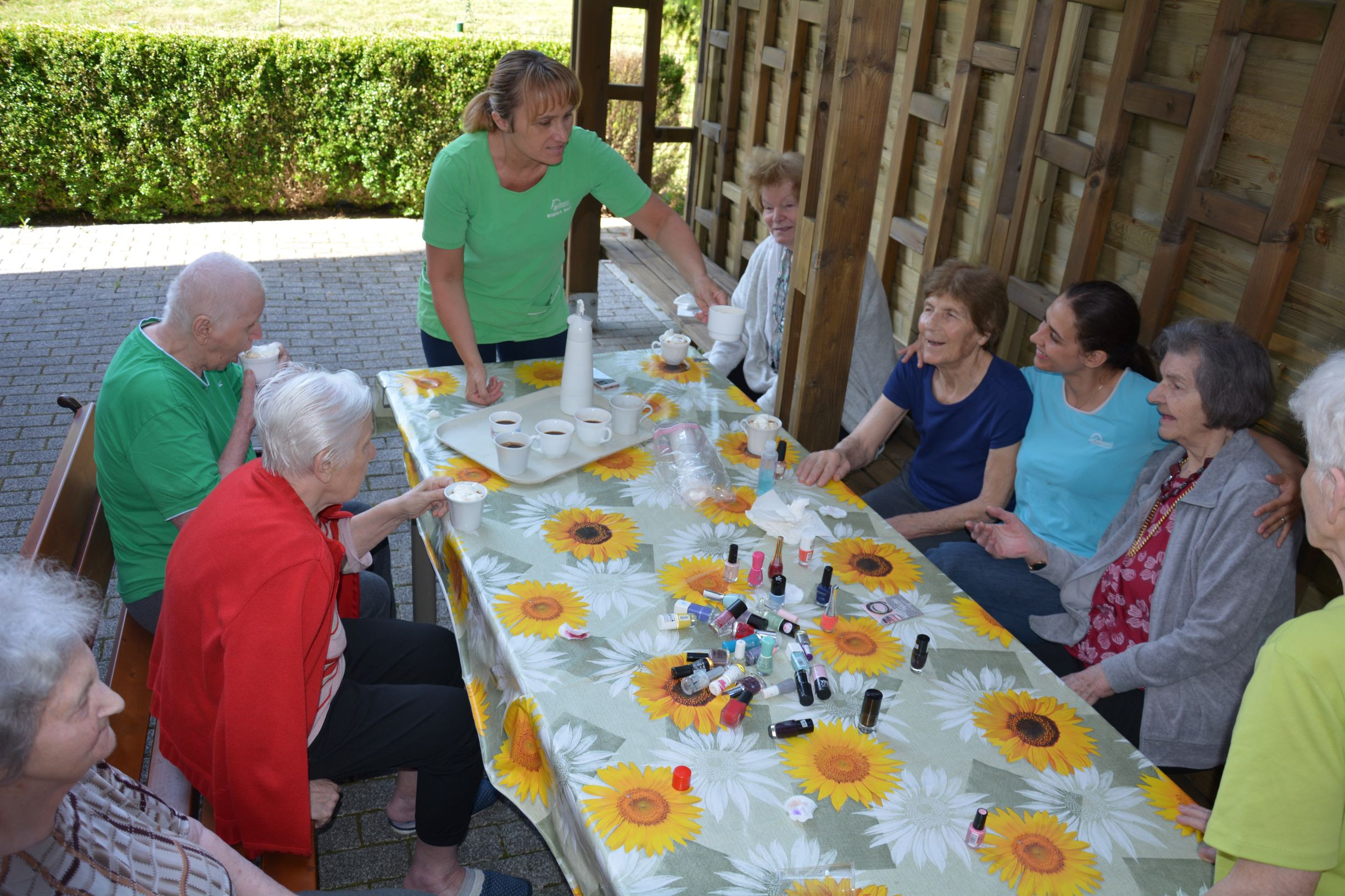 Razvajanje na demencah