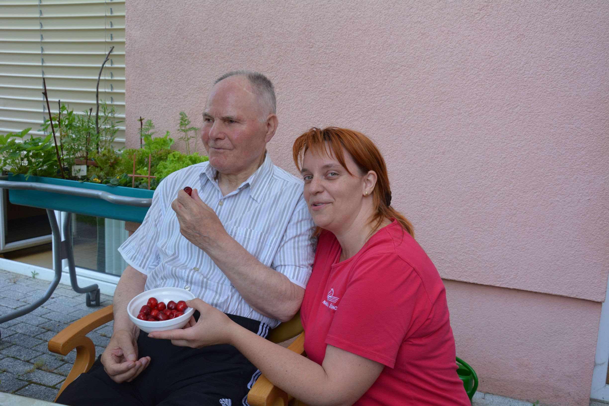 Razvajanje na demencah