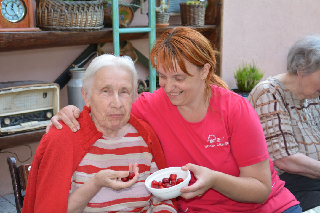 Razvajanje na demencah