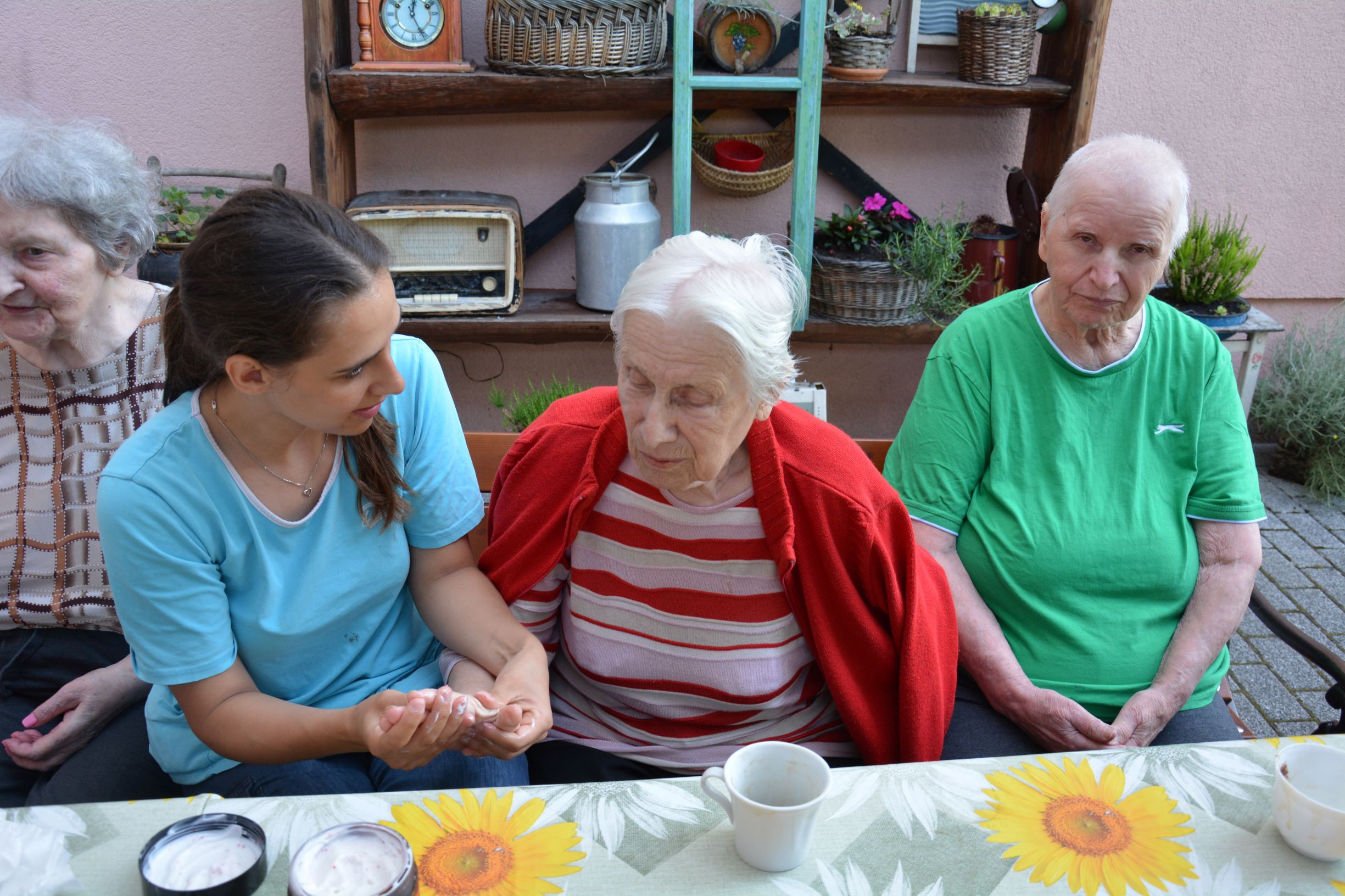 Razvajanje na demencah