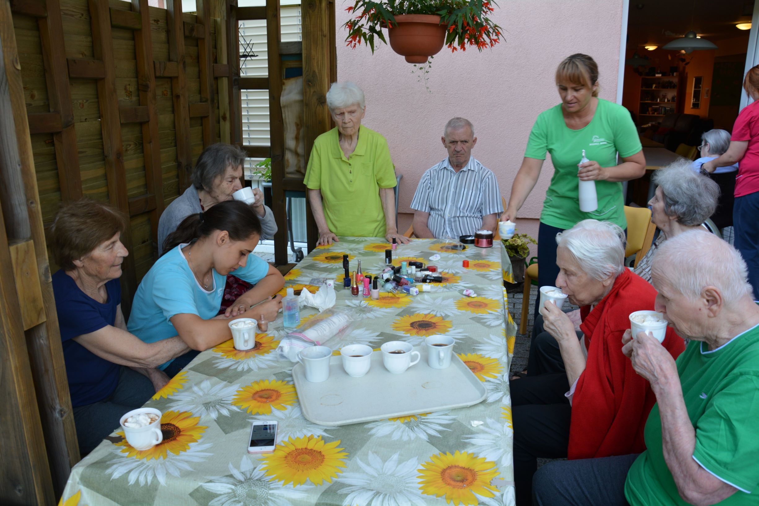 Razvajanje na demencah