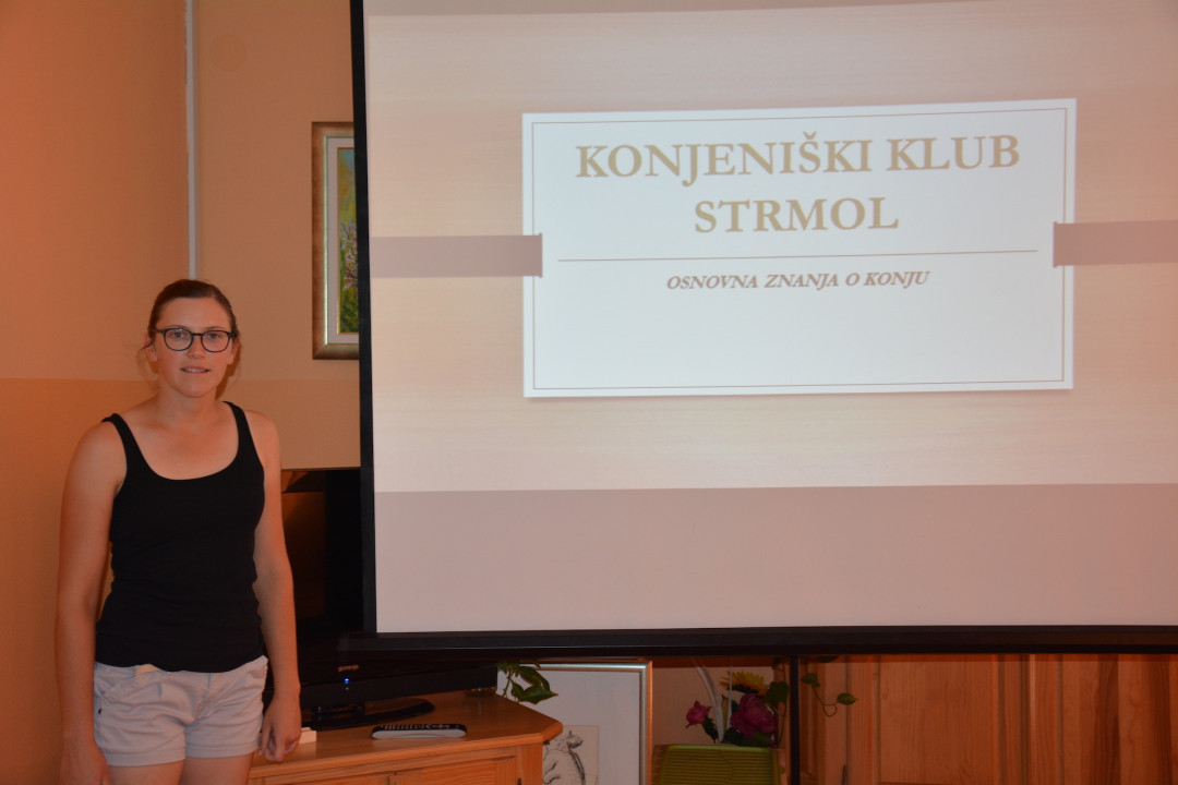 Renata Kuraj: O konjih