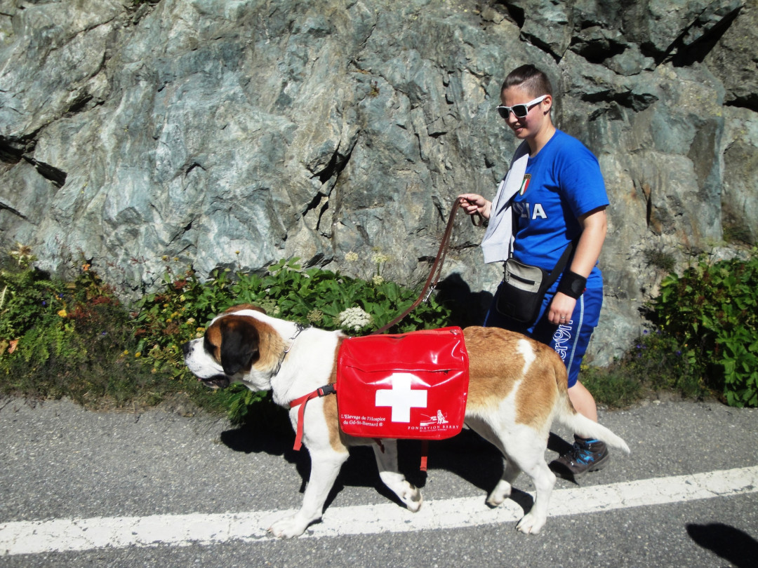 S kolesom na 30 prelazov v Sloveniji, Italiji, Avstriji, Švici in Franciji