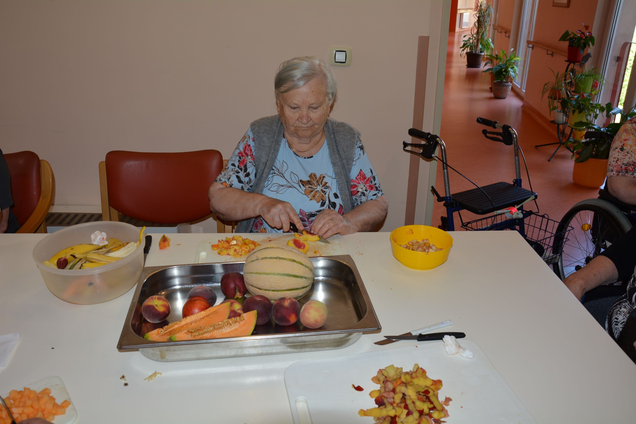 Sadna kupa z domačim sladoledom