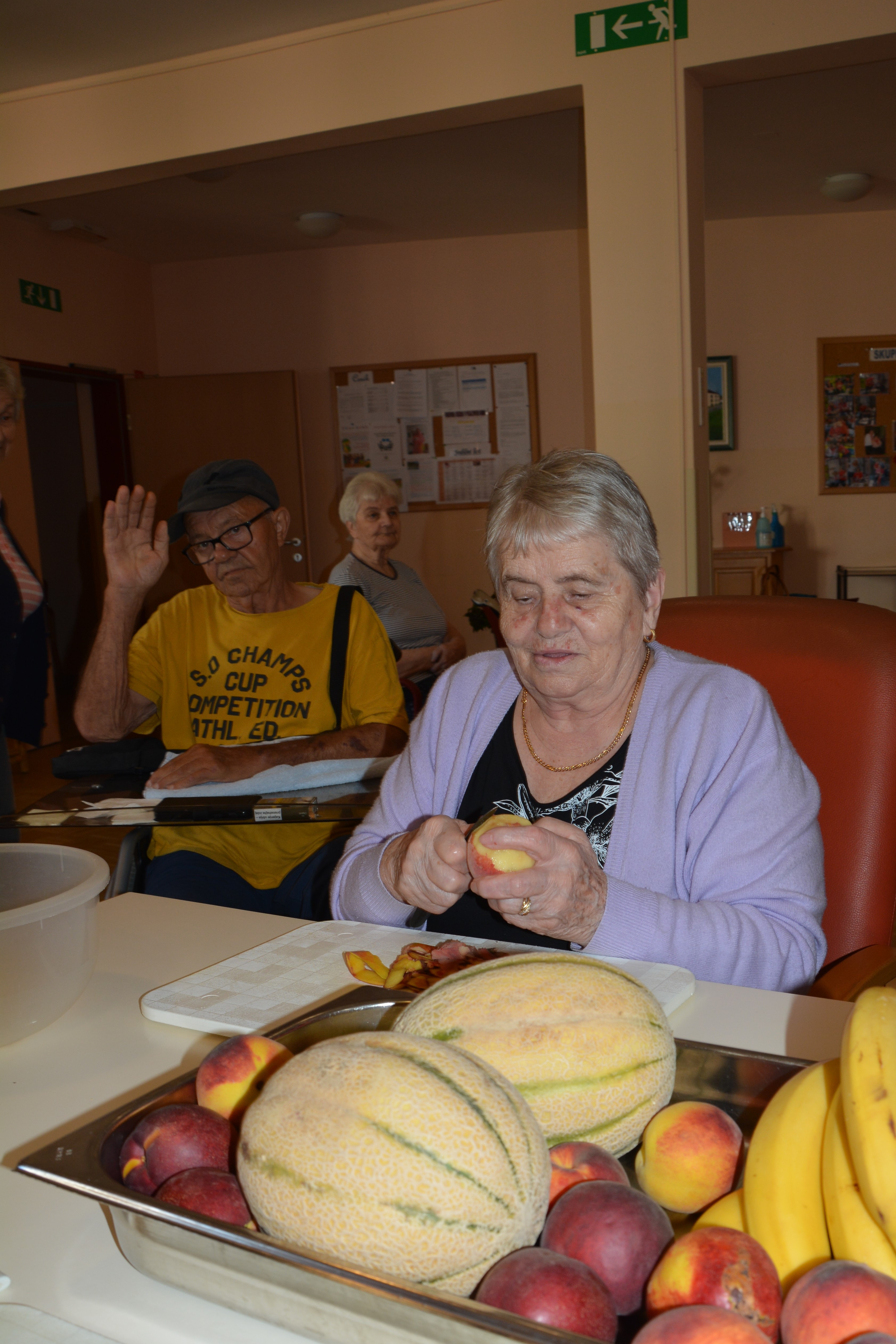 Sadna kupa z domačim sladoledom