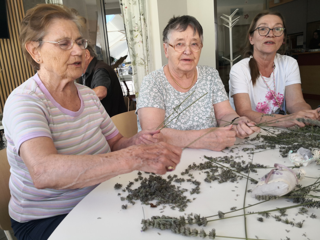 Šiviljska delavnica s sivko