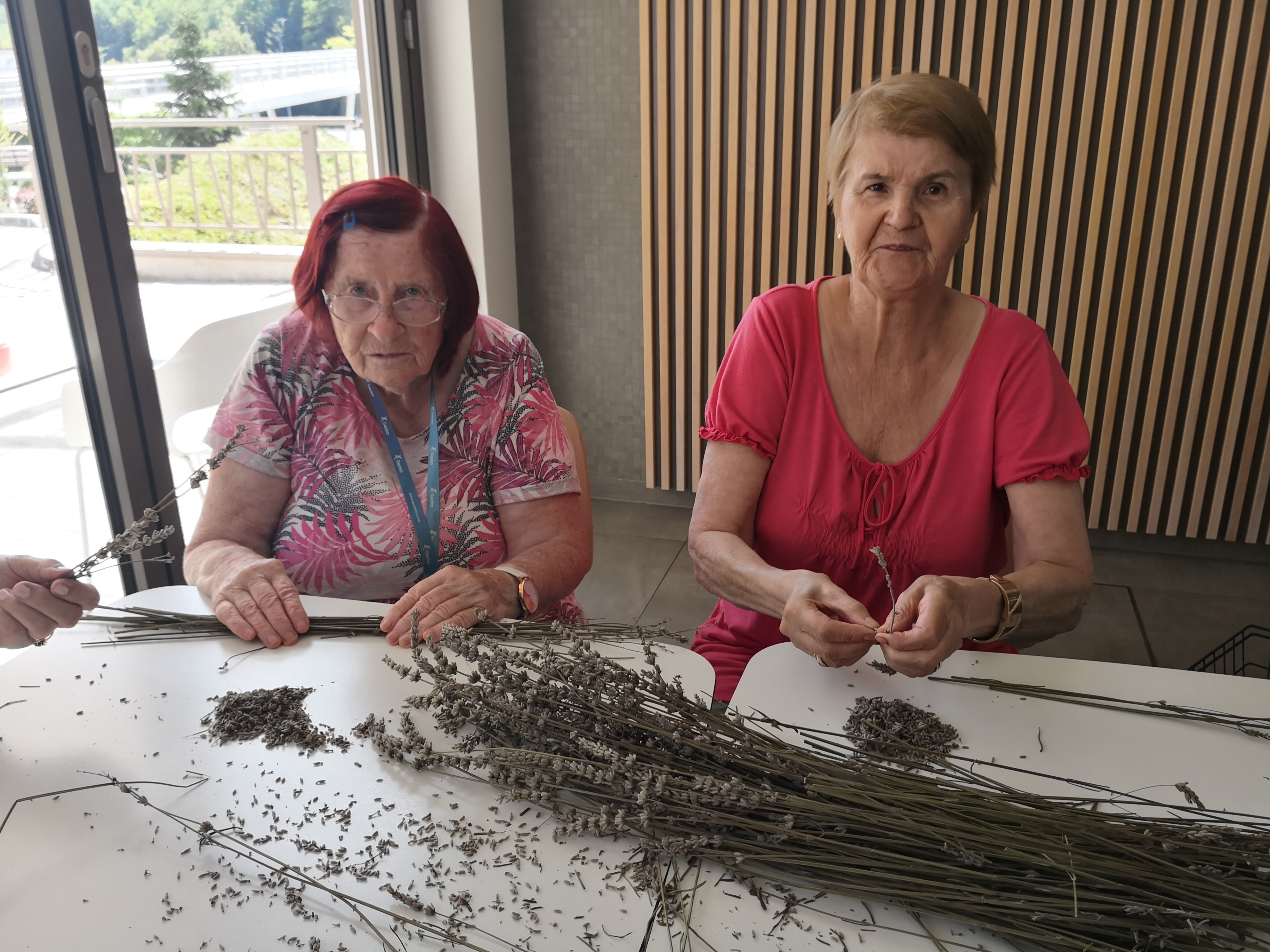 Šiviljska delavnica s sivko