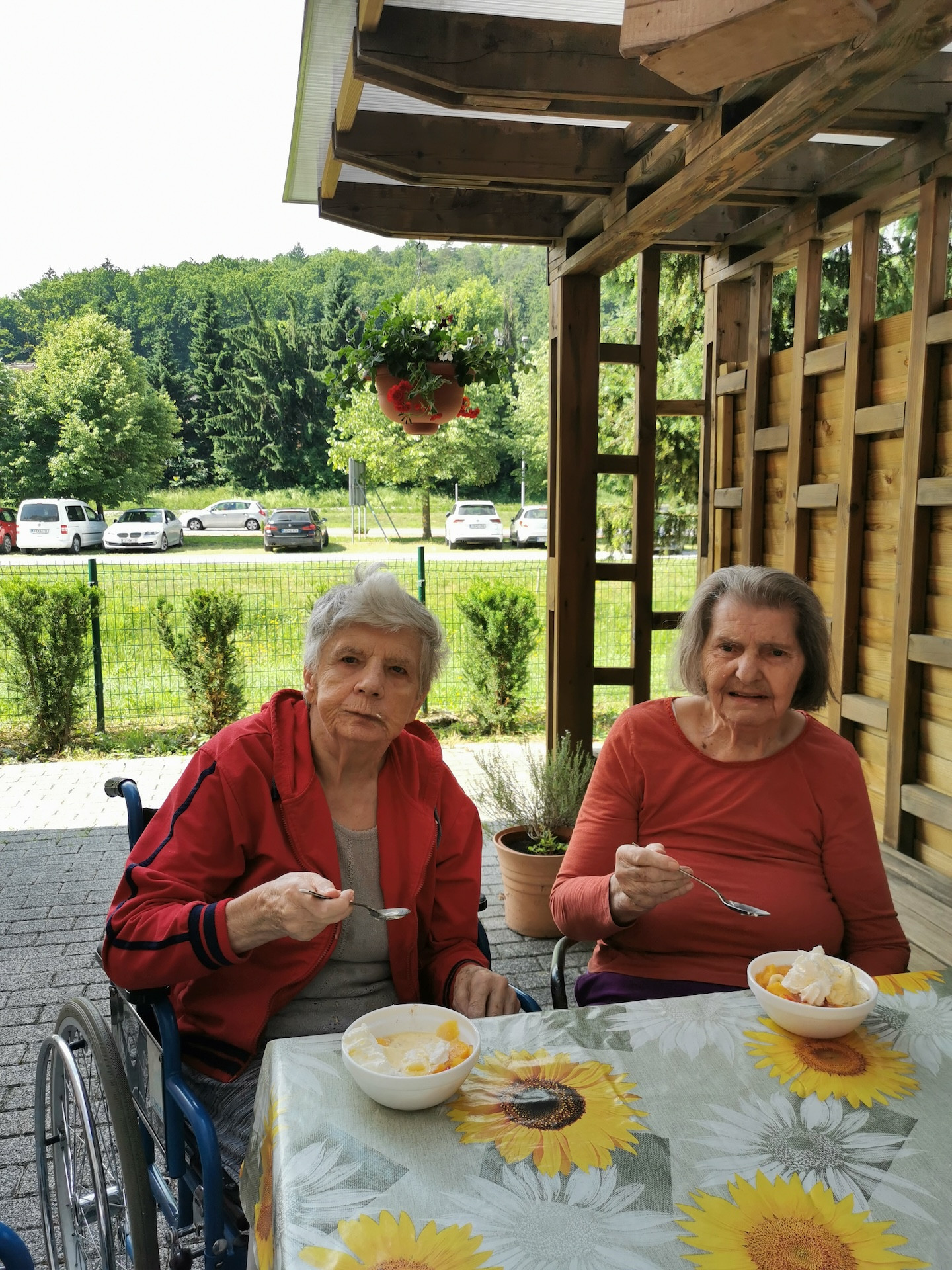 Sladoledni dan na demencah