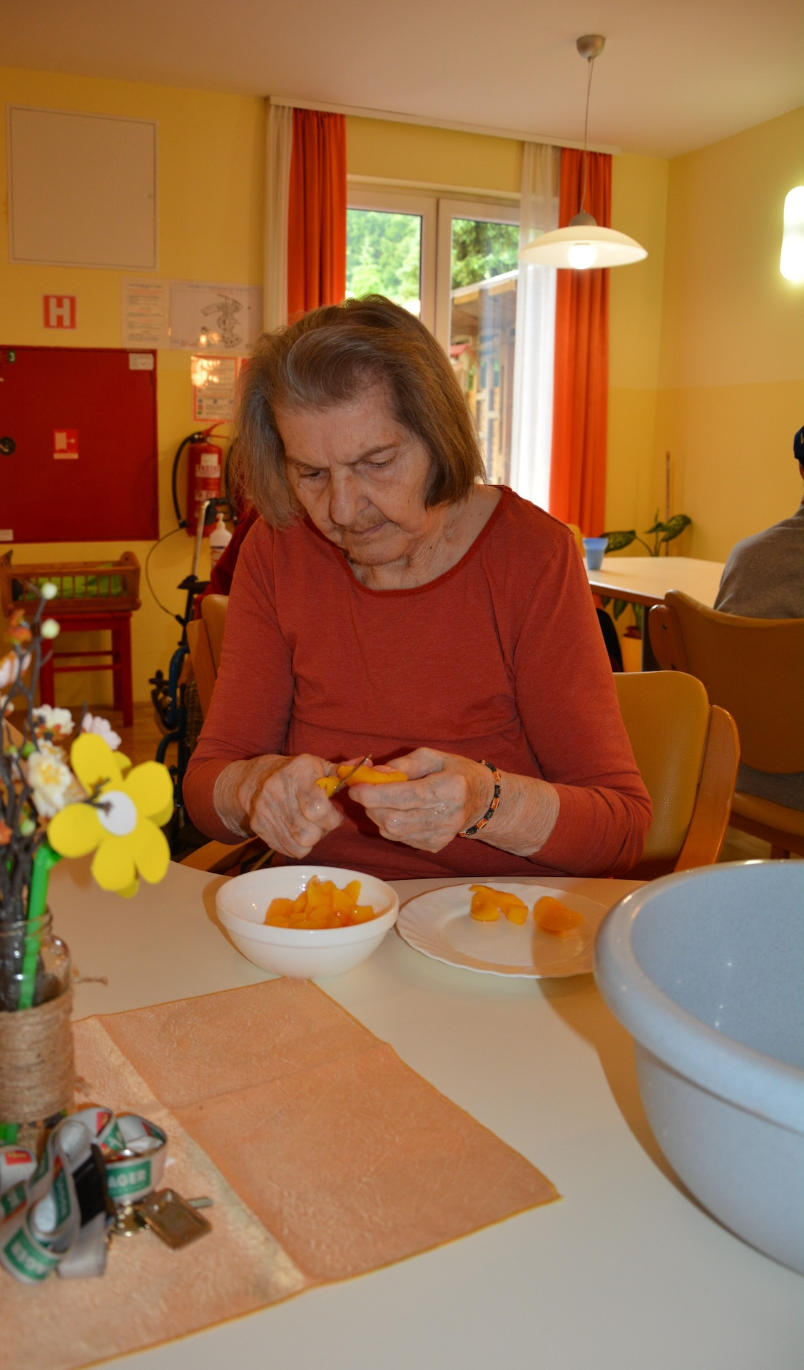 Sladoledni dan na demencah