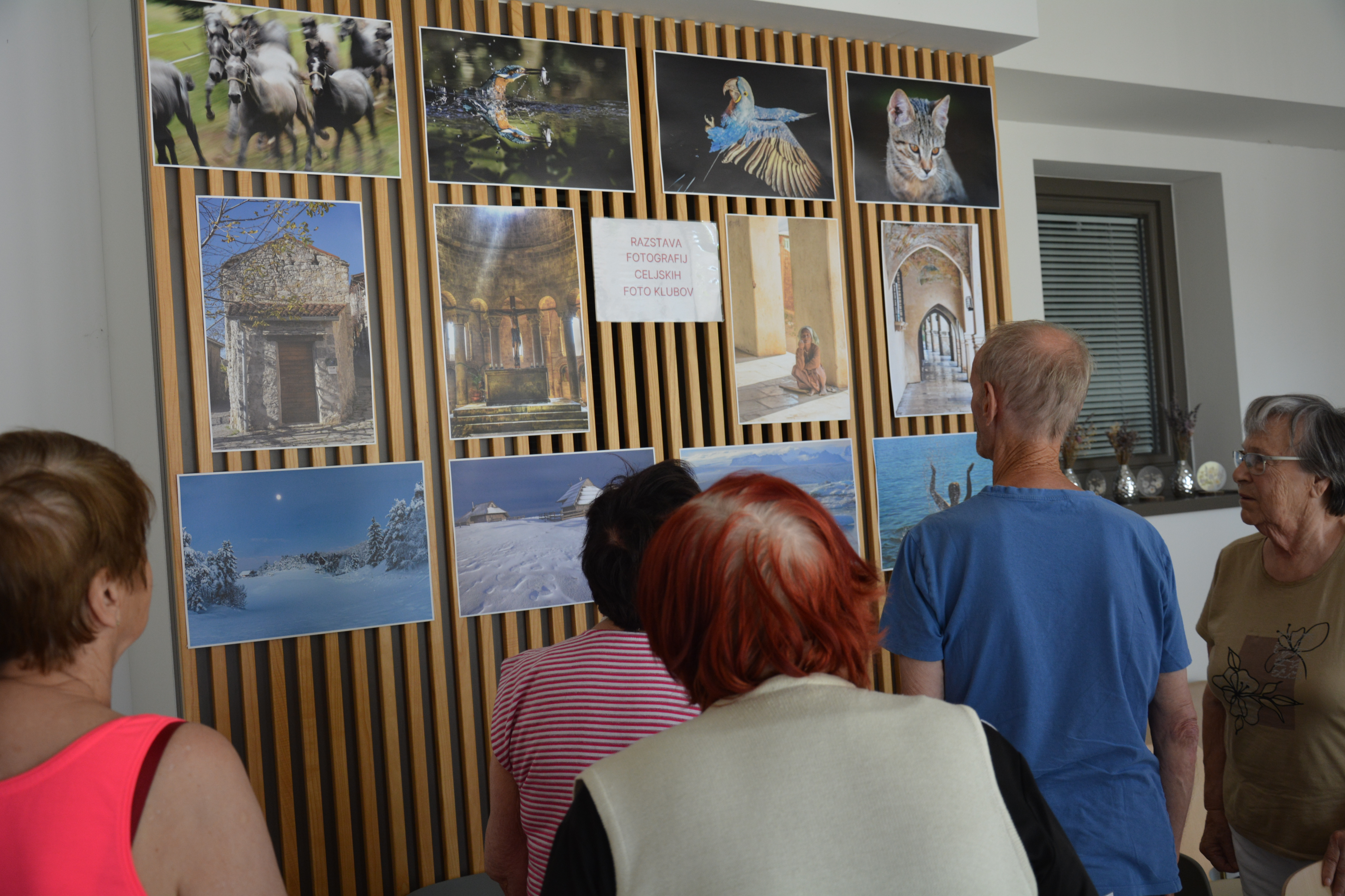 Slike fotografov Celjskih foto klubov krasijo kavarno