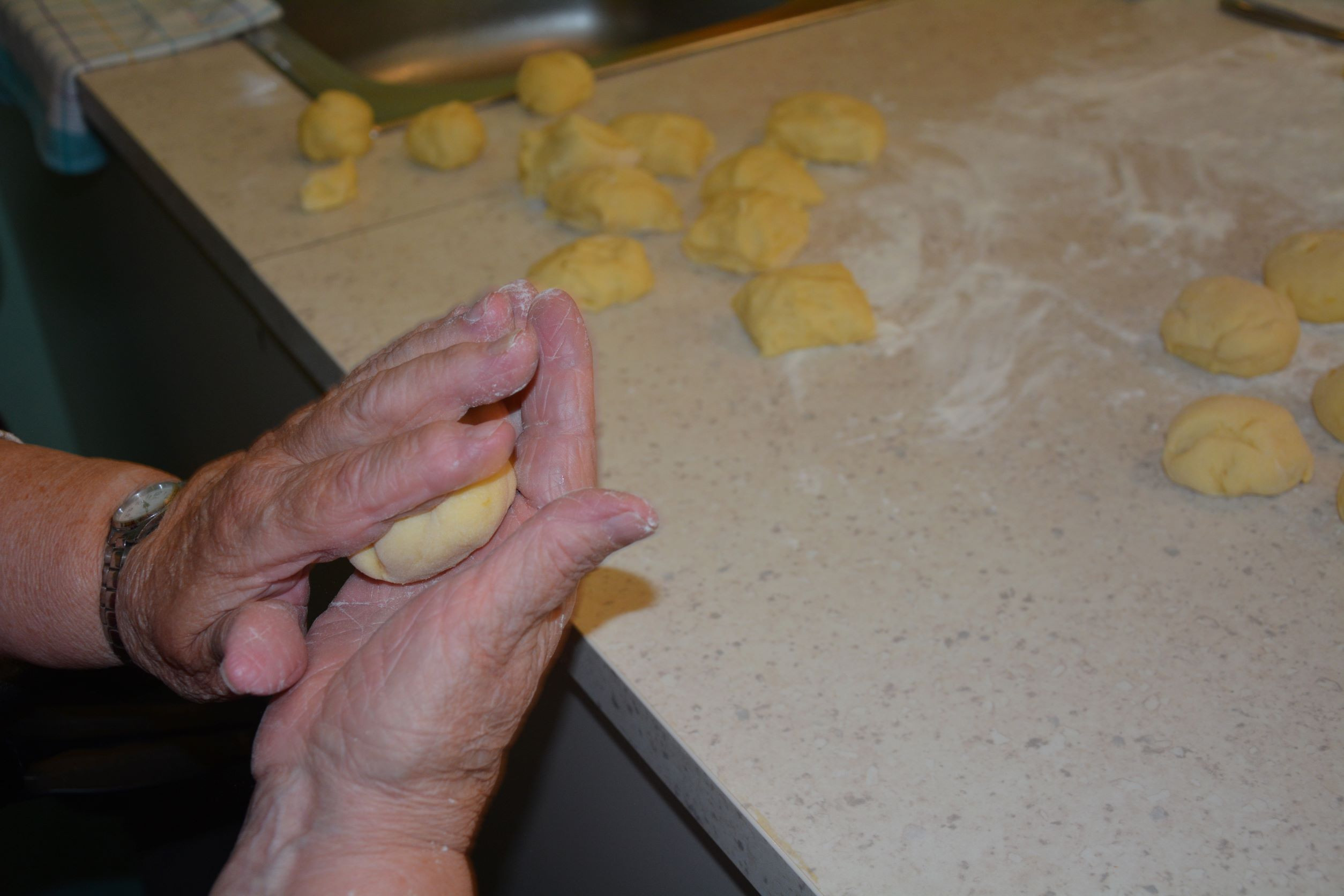 Teden možganov v Pegazovem domu