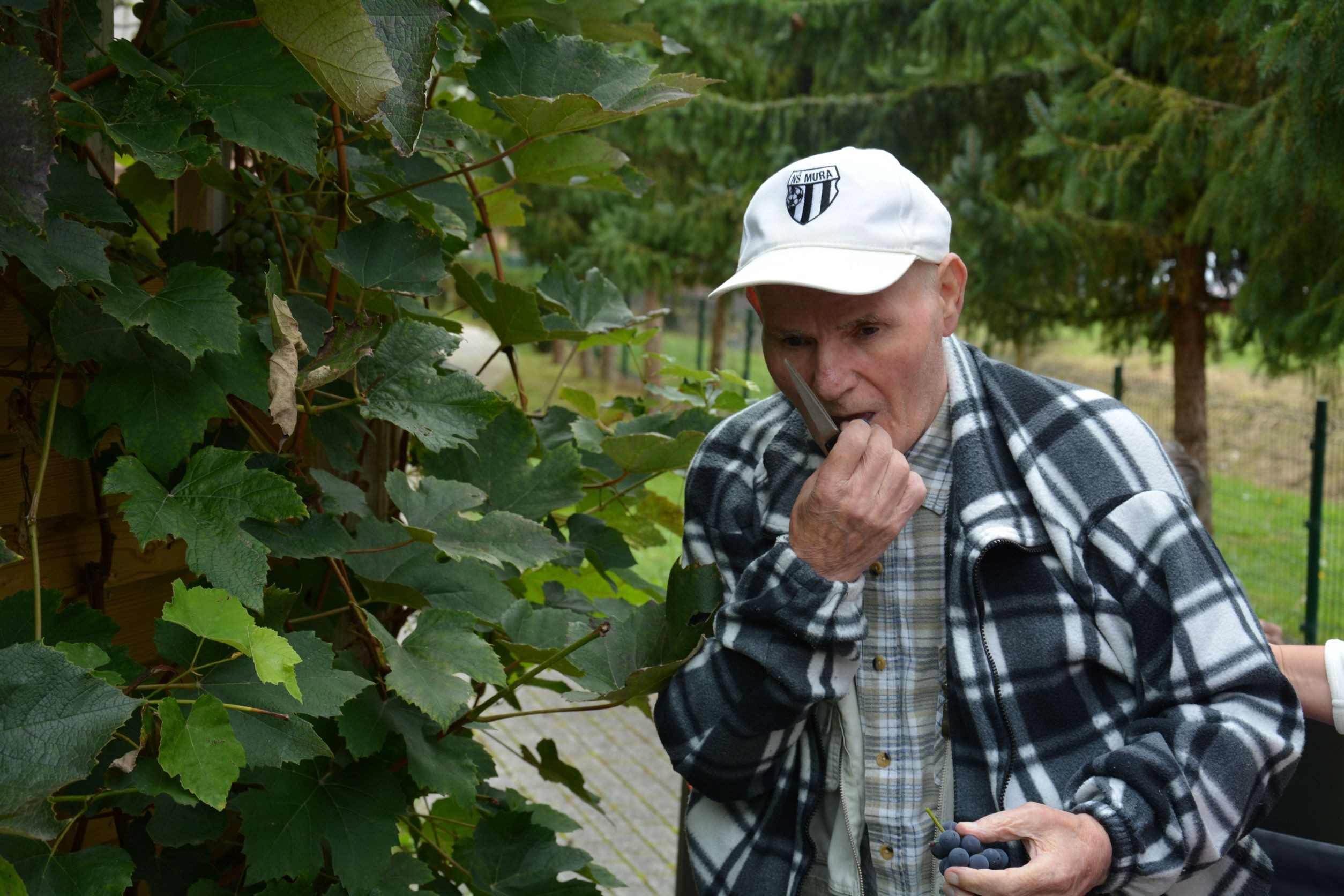 Trgatev na skupini Spominčica