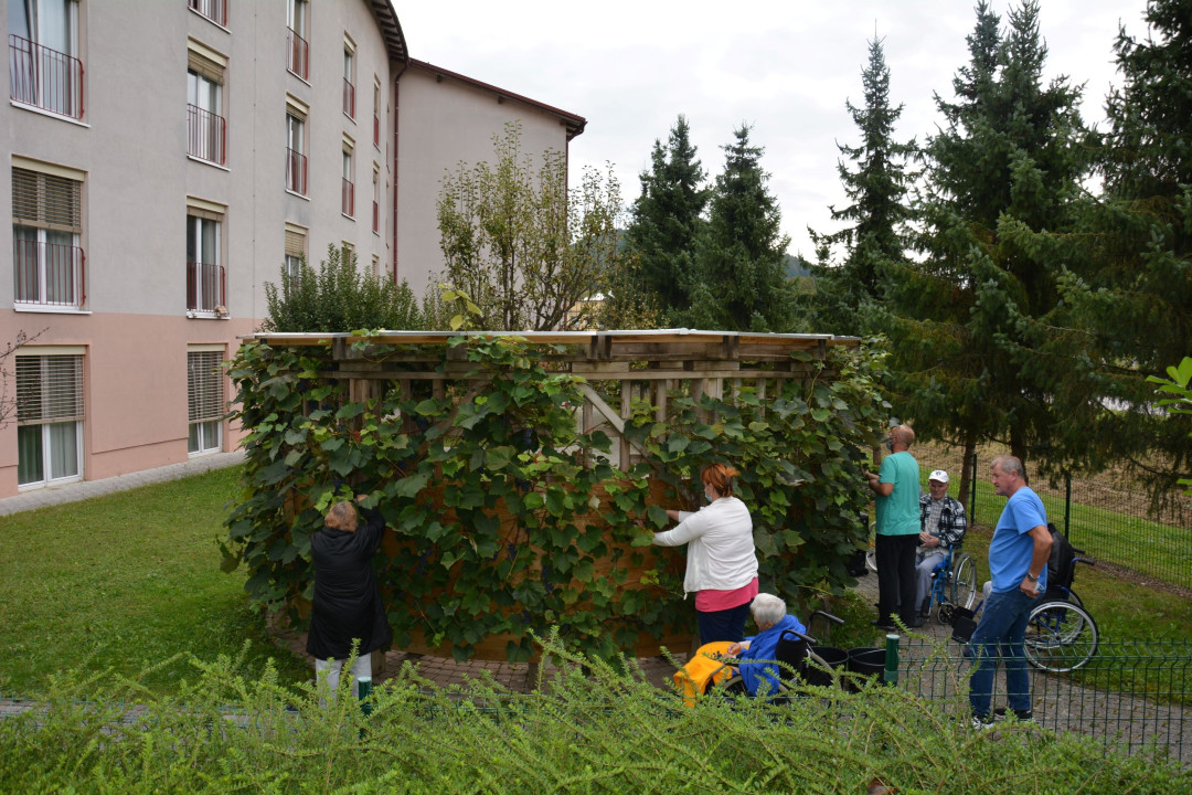 Trgatev na skupini Spominčica