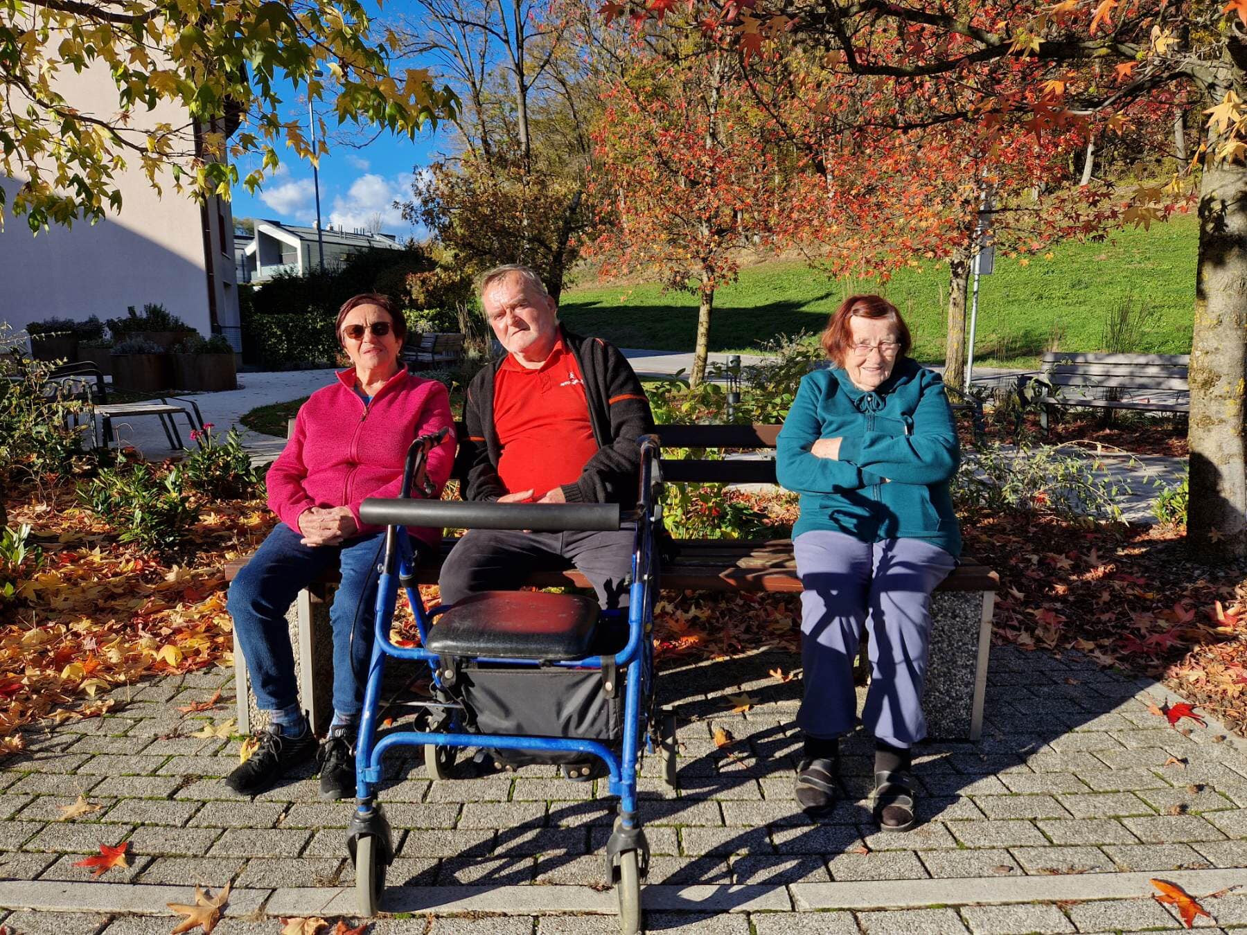 Urejanje parka in priprave na veseli december