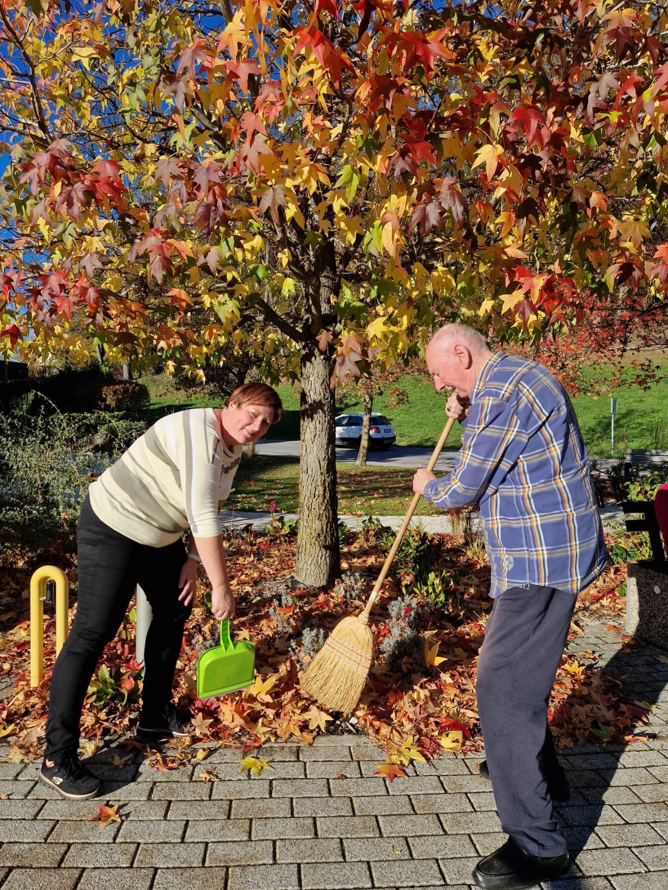 Urejanje parka in priprave na veseli december