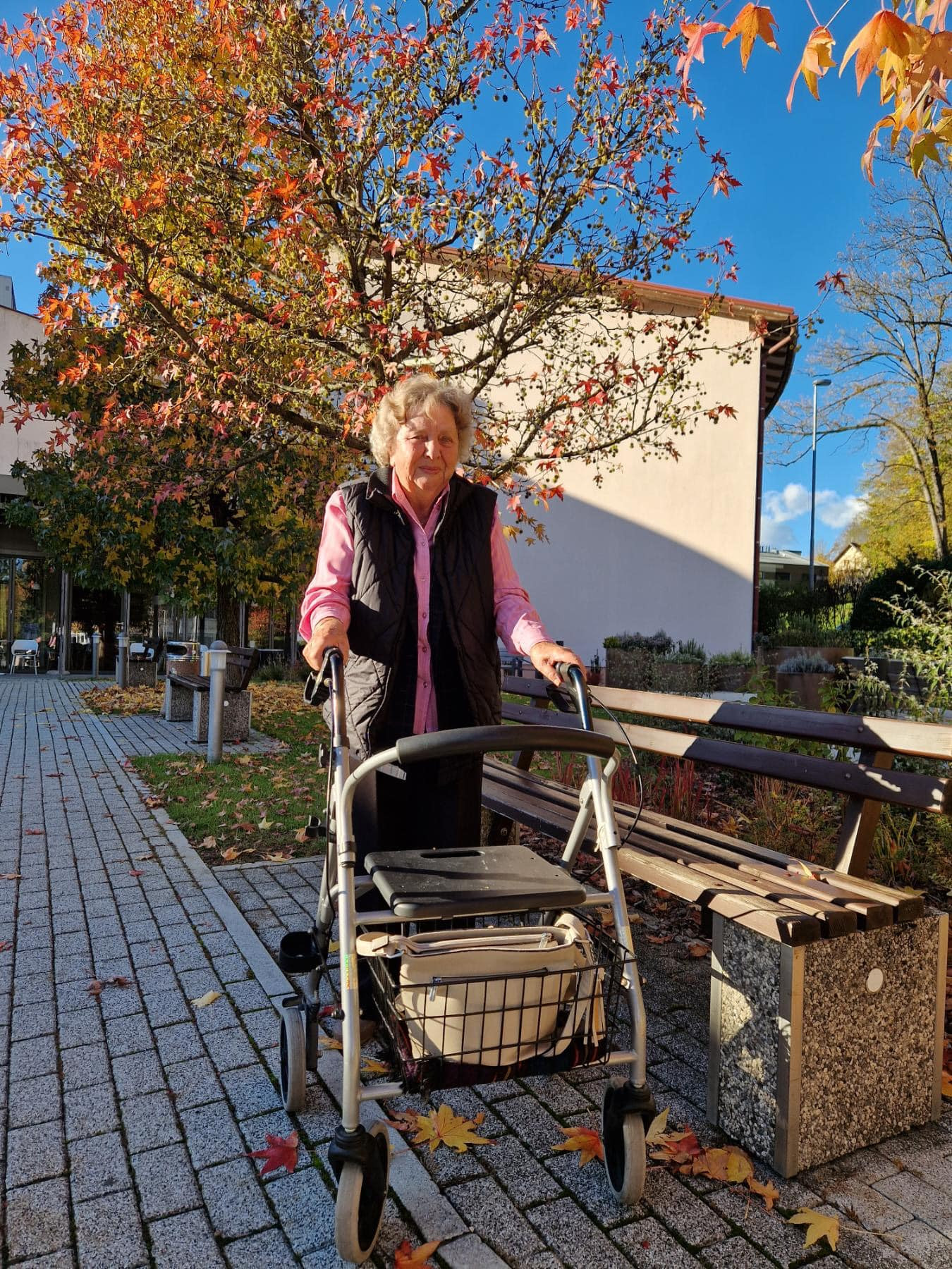 Urejanje parka in priprave na veseli december