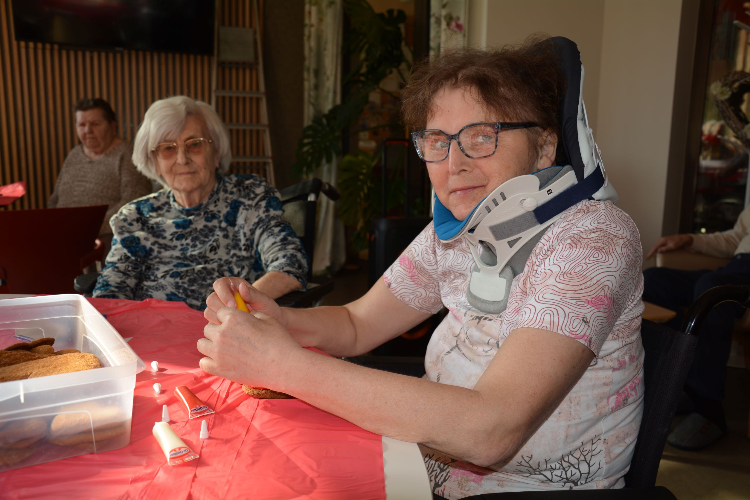 Valentinovo v Pegazovem domu