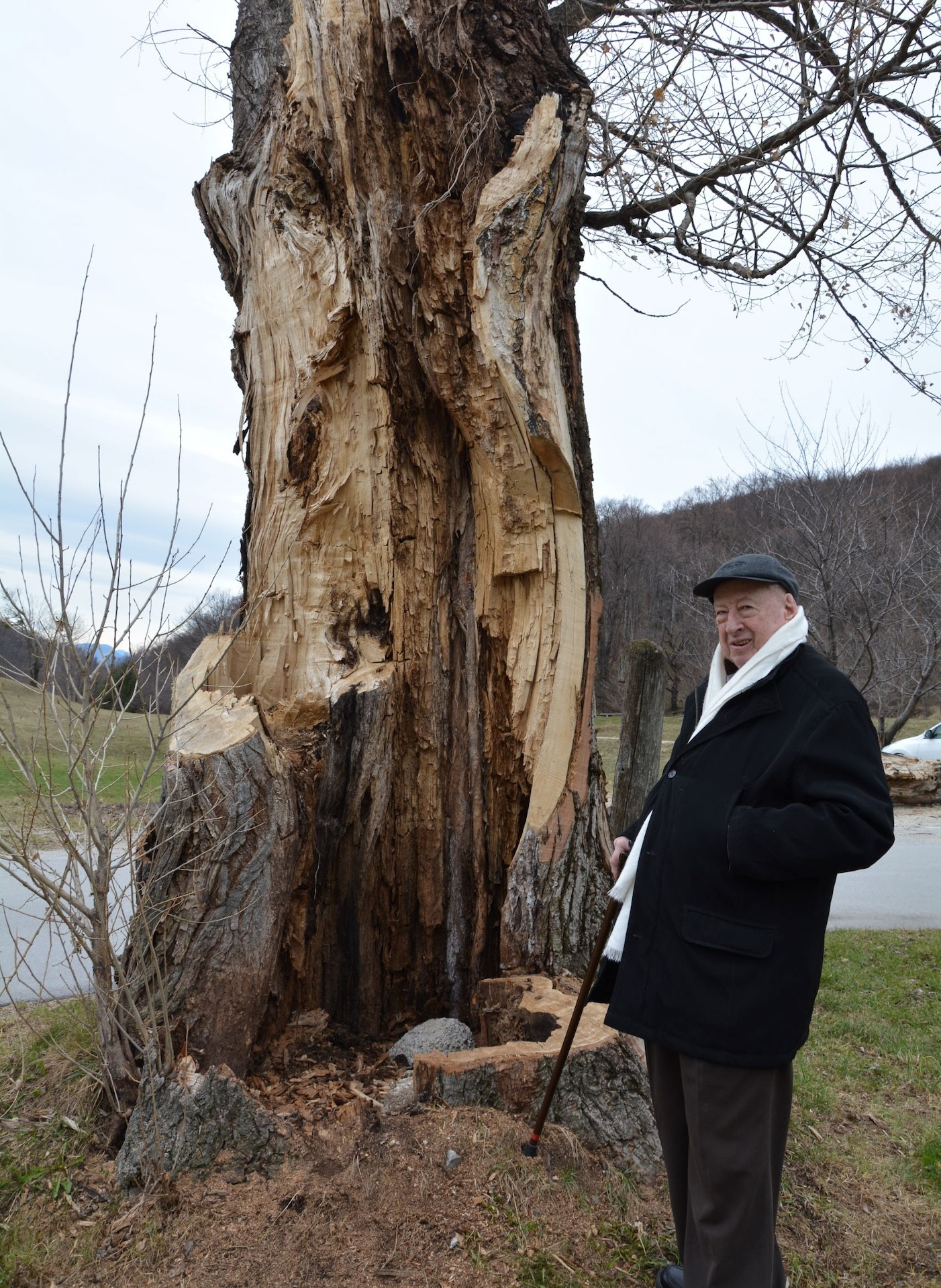 Velika velikonočnica na Boču