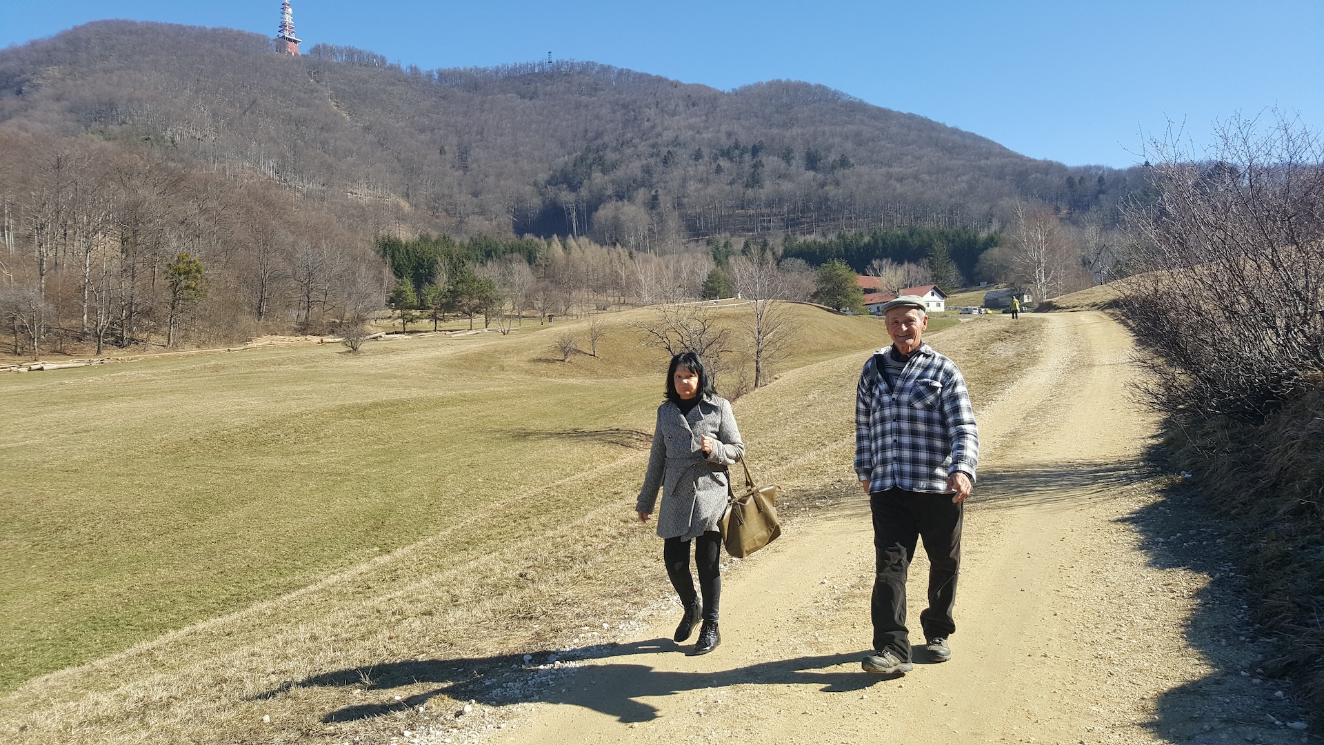 Velikonočnica spet cveti