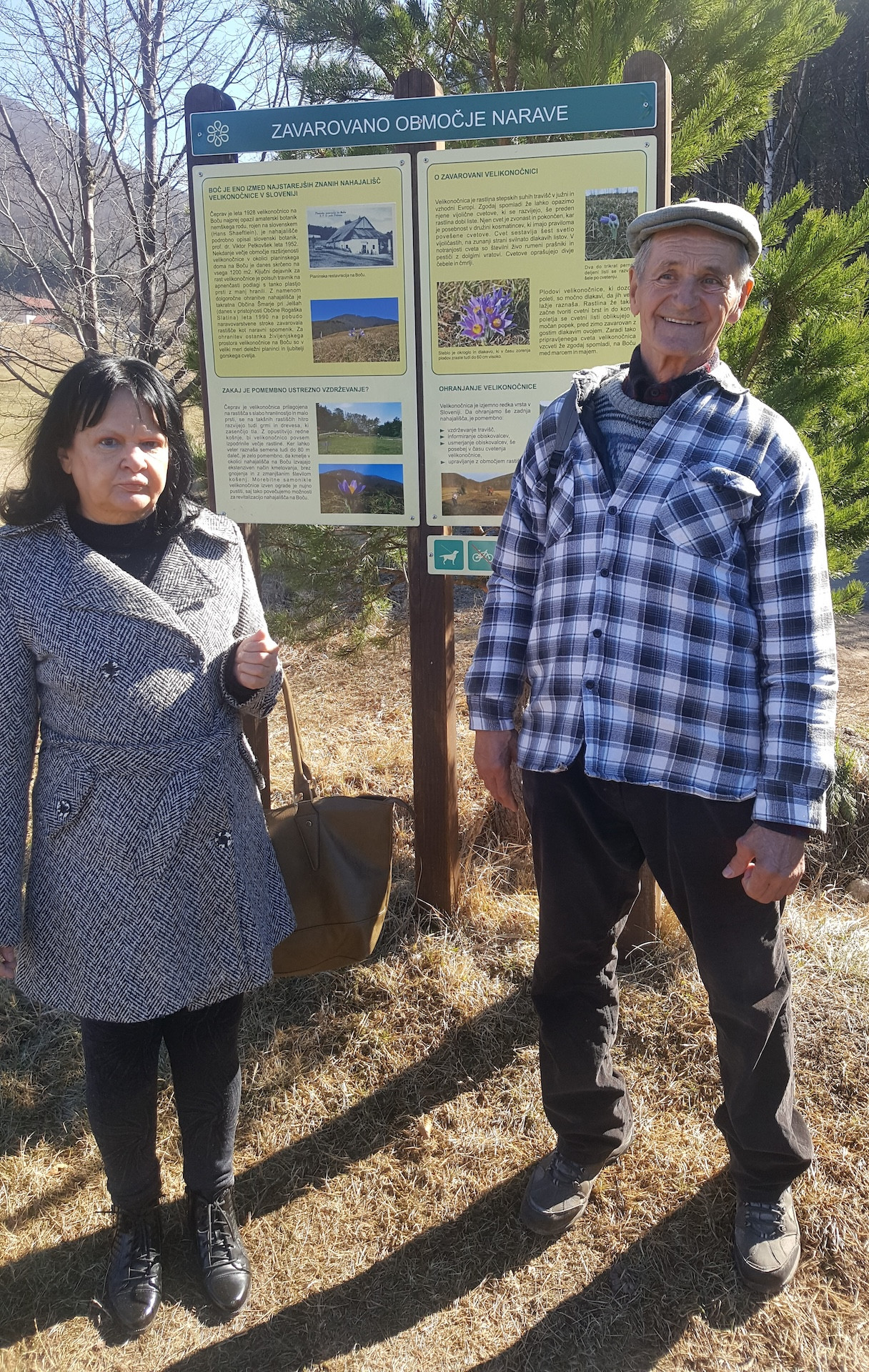 Velikonočnica spet cveti