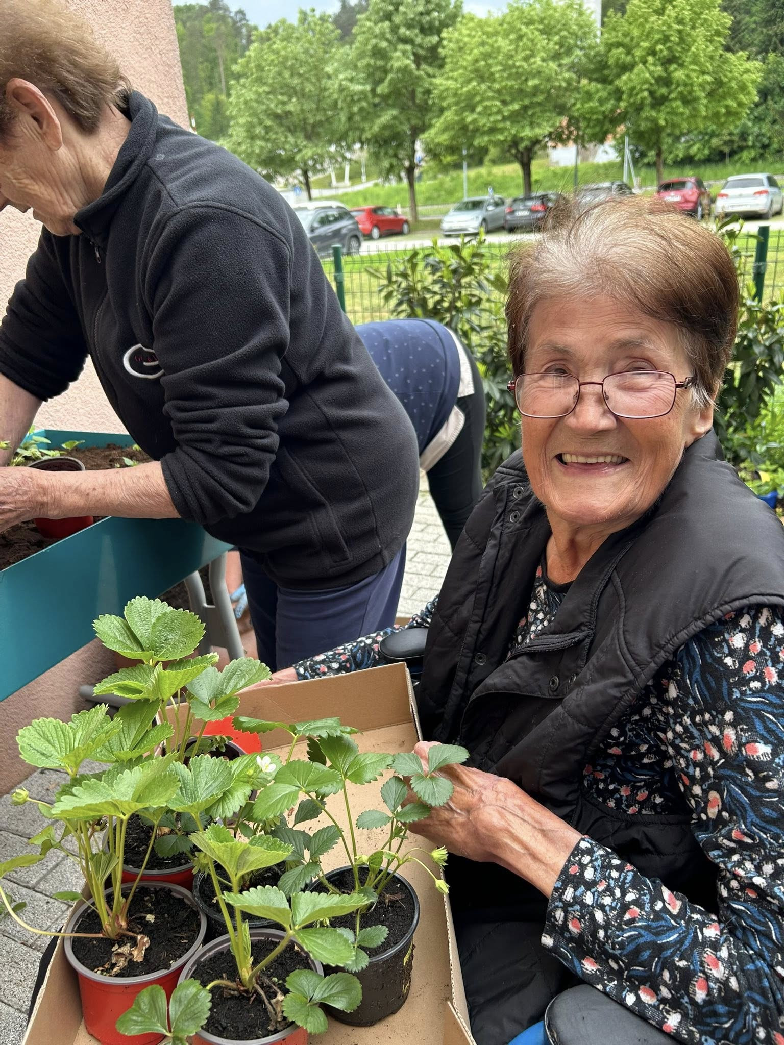 Visoke grede v skupini Spominčice
