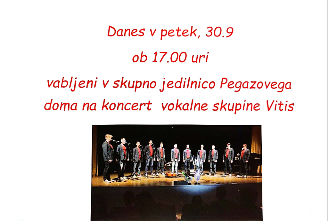 Vokalna skupina Vitis