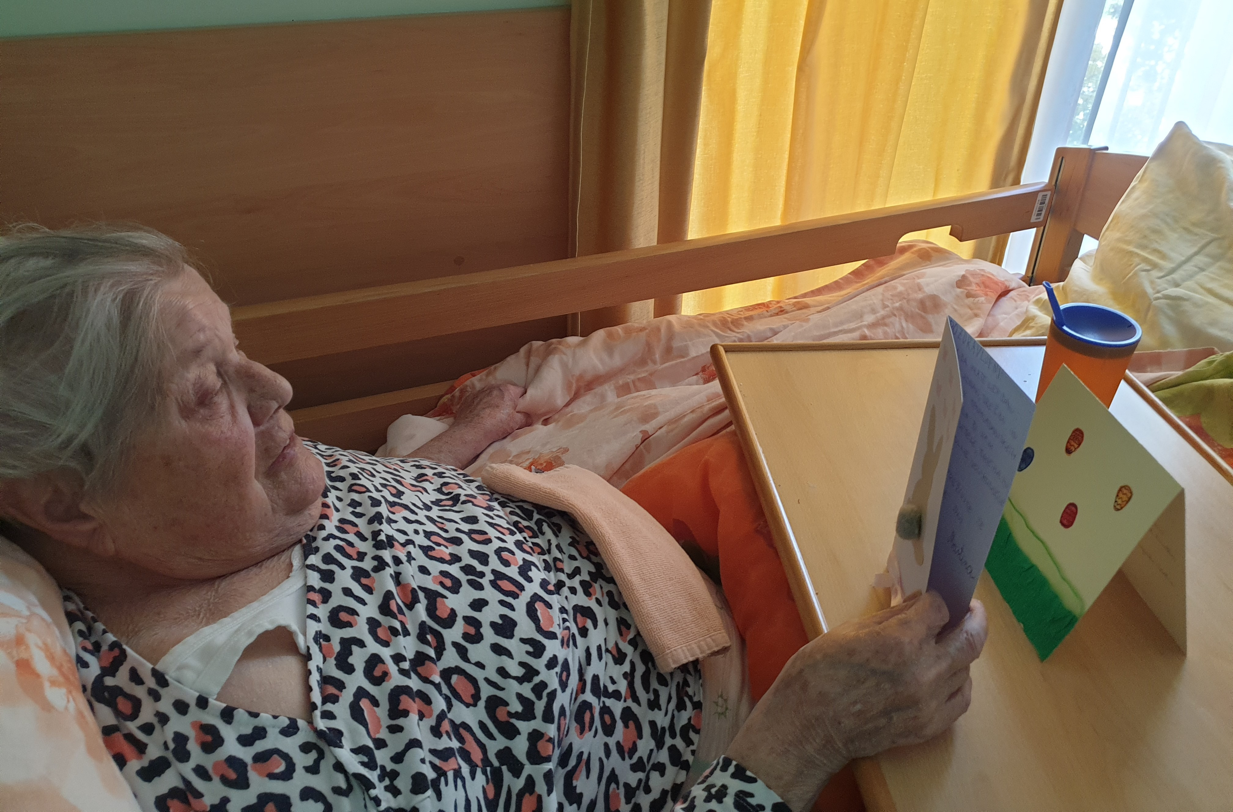 Voščilnice šolskega centra