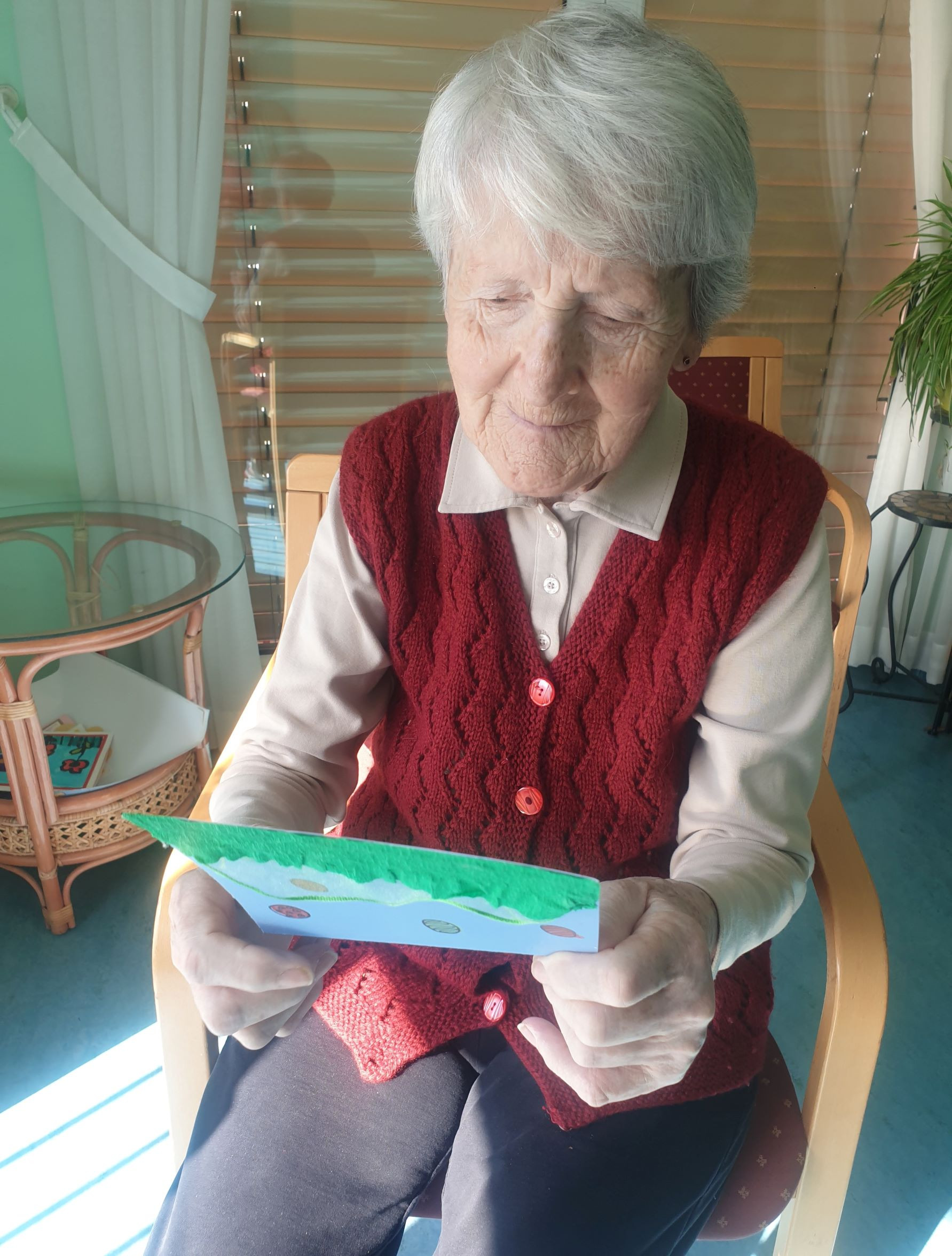 Voščilnice šolskega centra