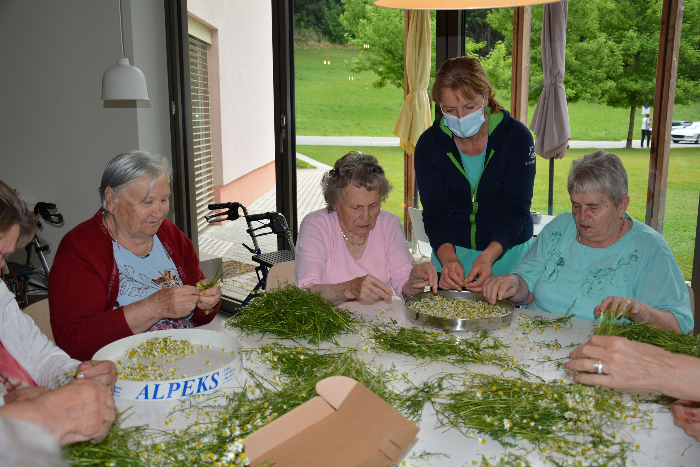Za vsako bolezen raste rož’ca