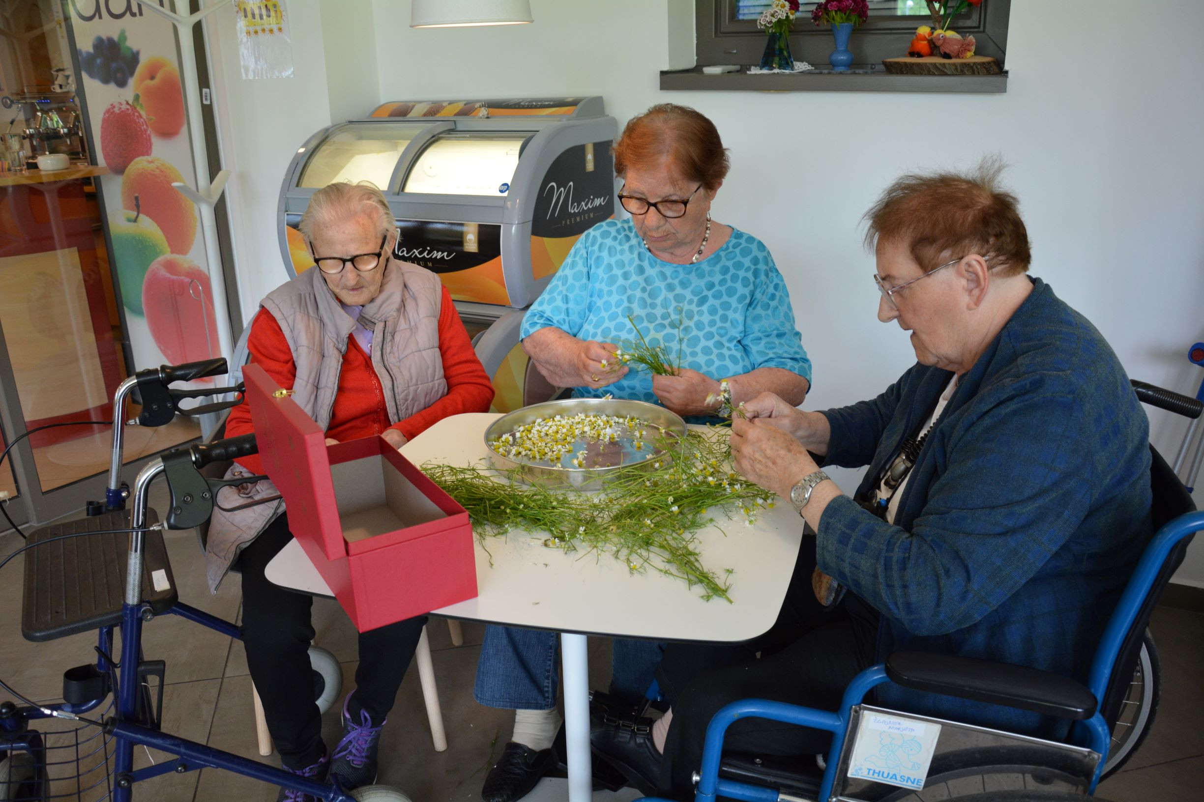 Za vsako bolezen raste rož’ca