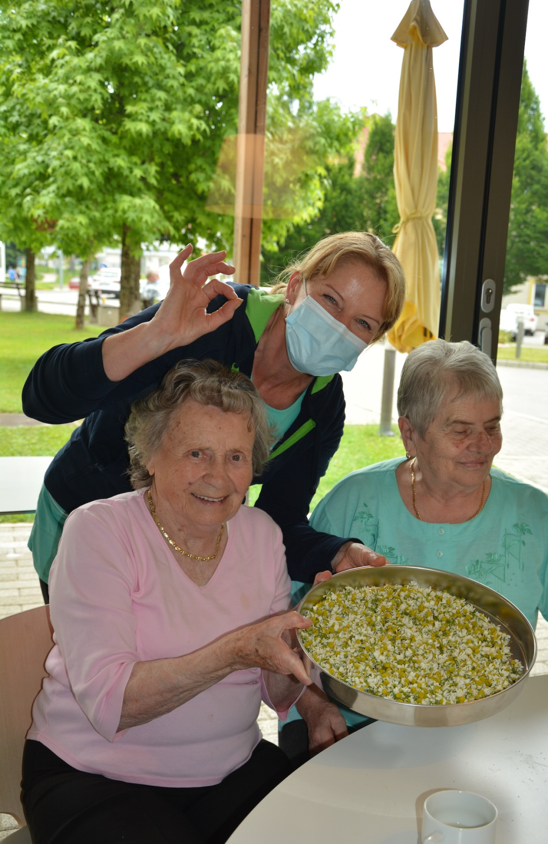 Za vsako bolezen raste rož’ca