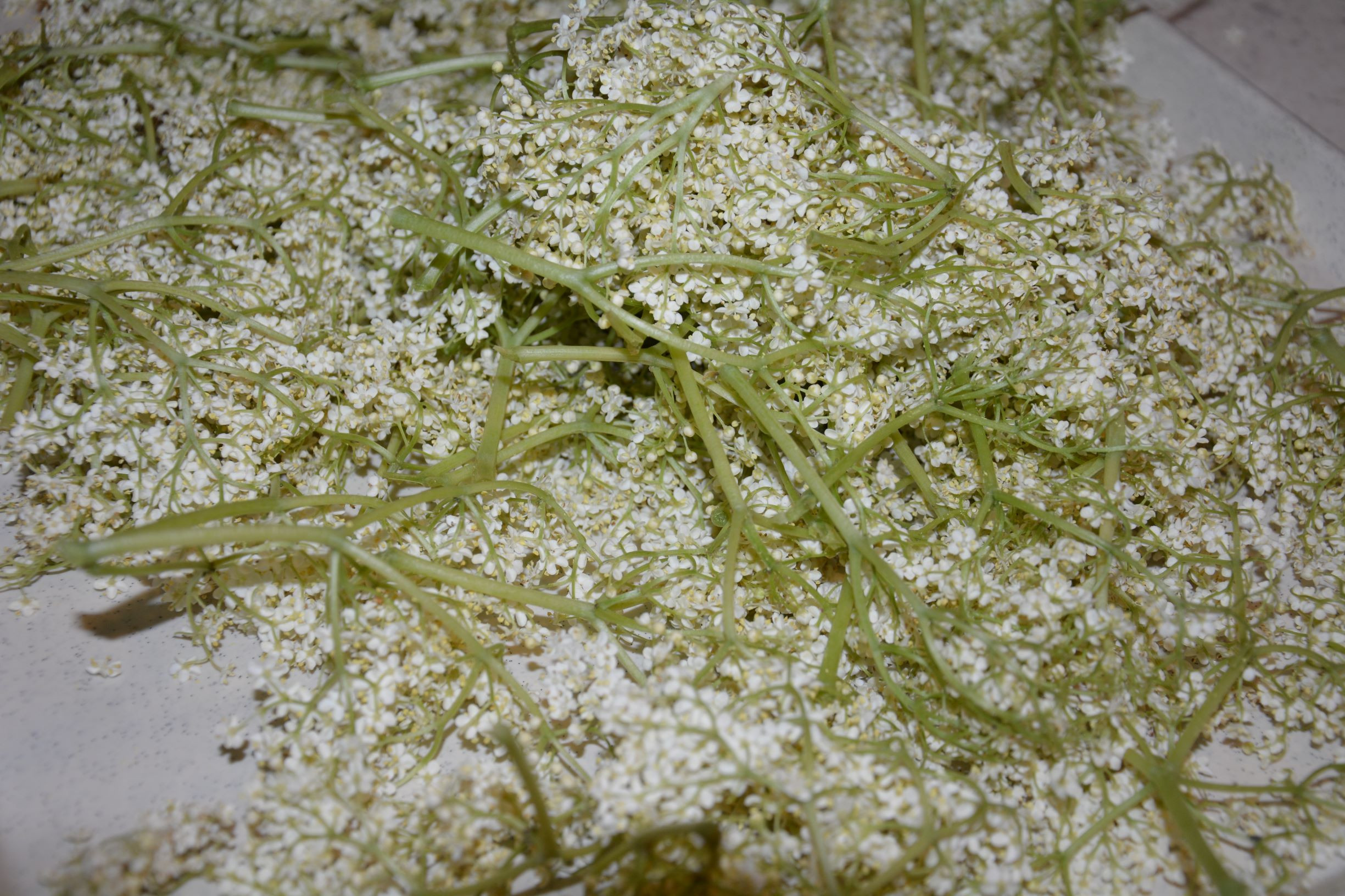 Zadišalo je po bezgu