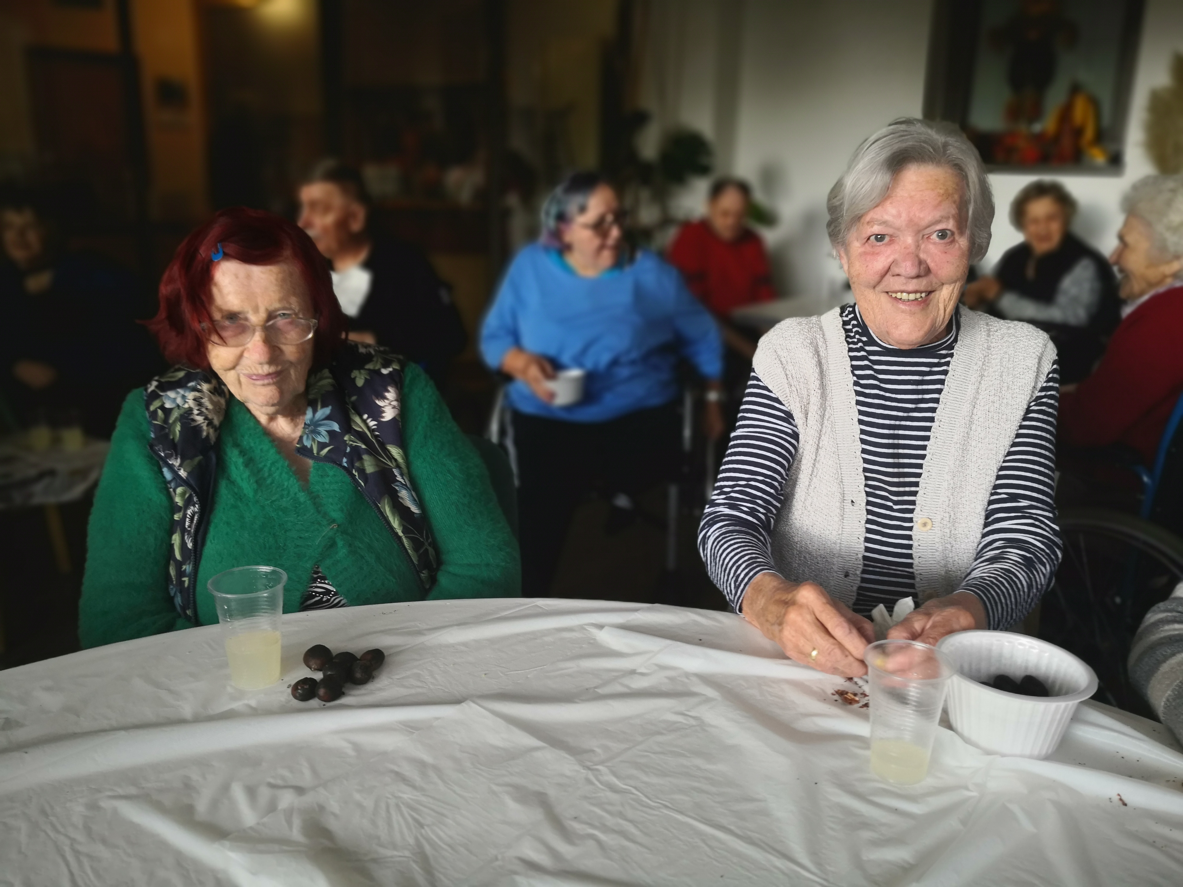 Zadišalo je po kostanju in moštu