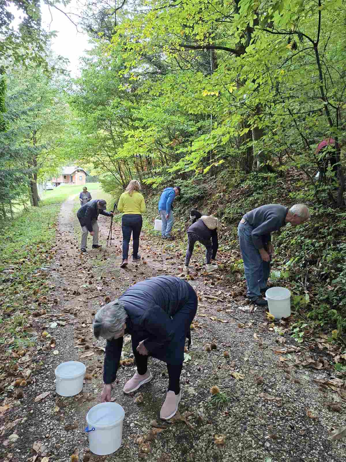 Zadišalo je po kostanju in moštu