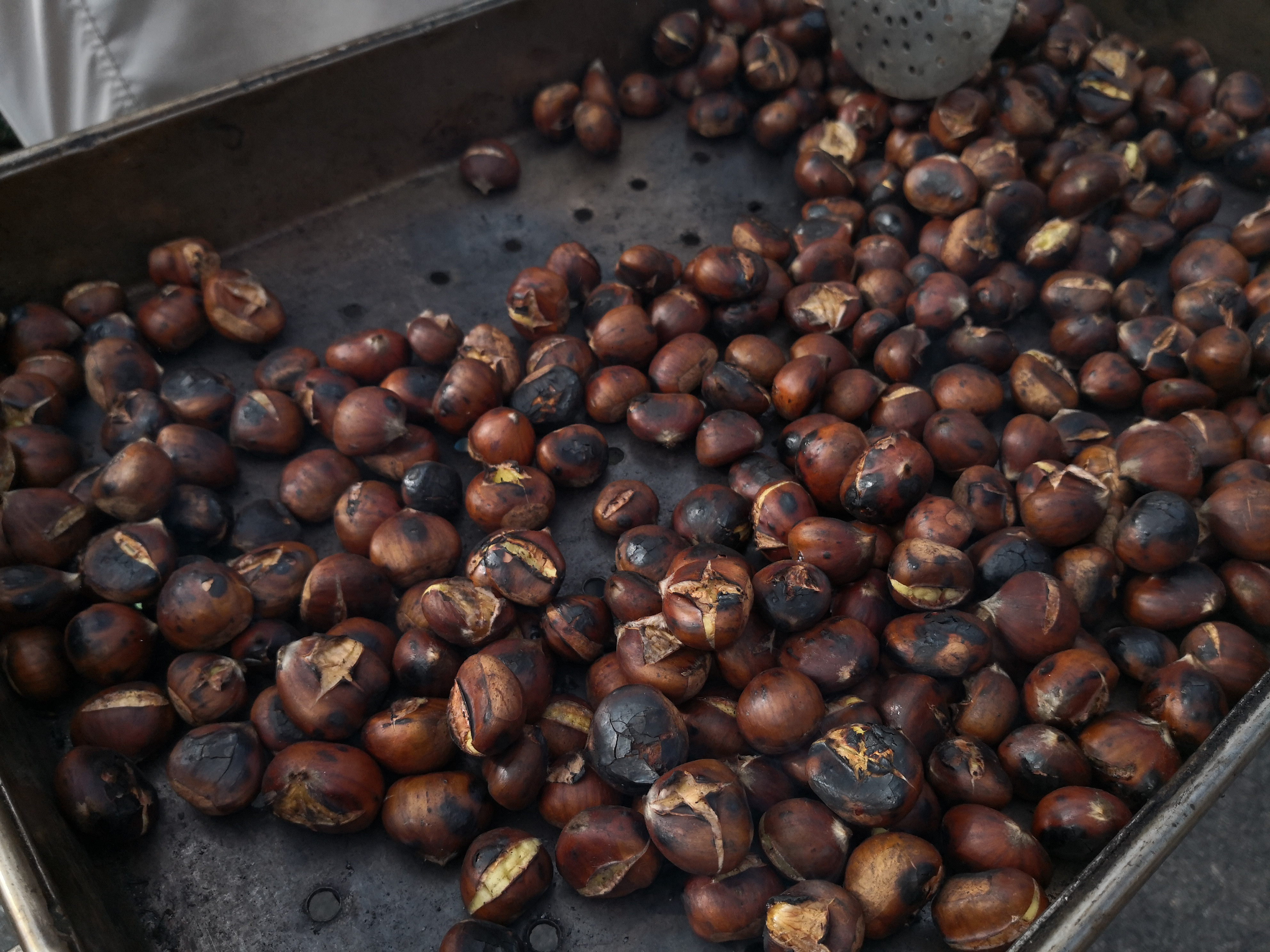 Zadišalo je po kostanju in moštu