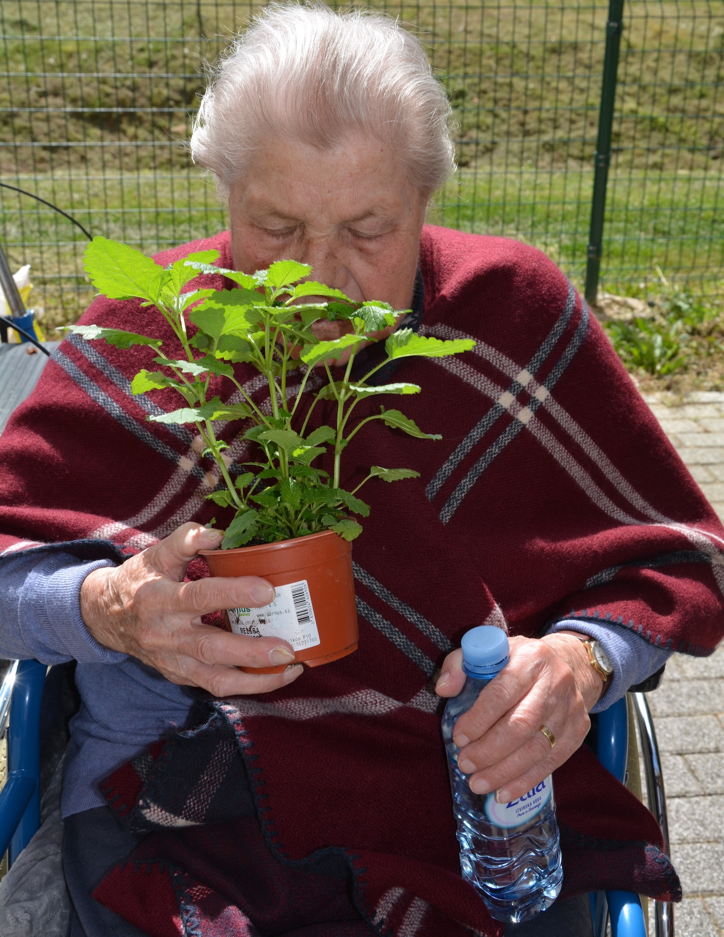 Zasadili smo zunanje rože in začimbe v skupinah Zarja in Spominčice