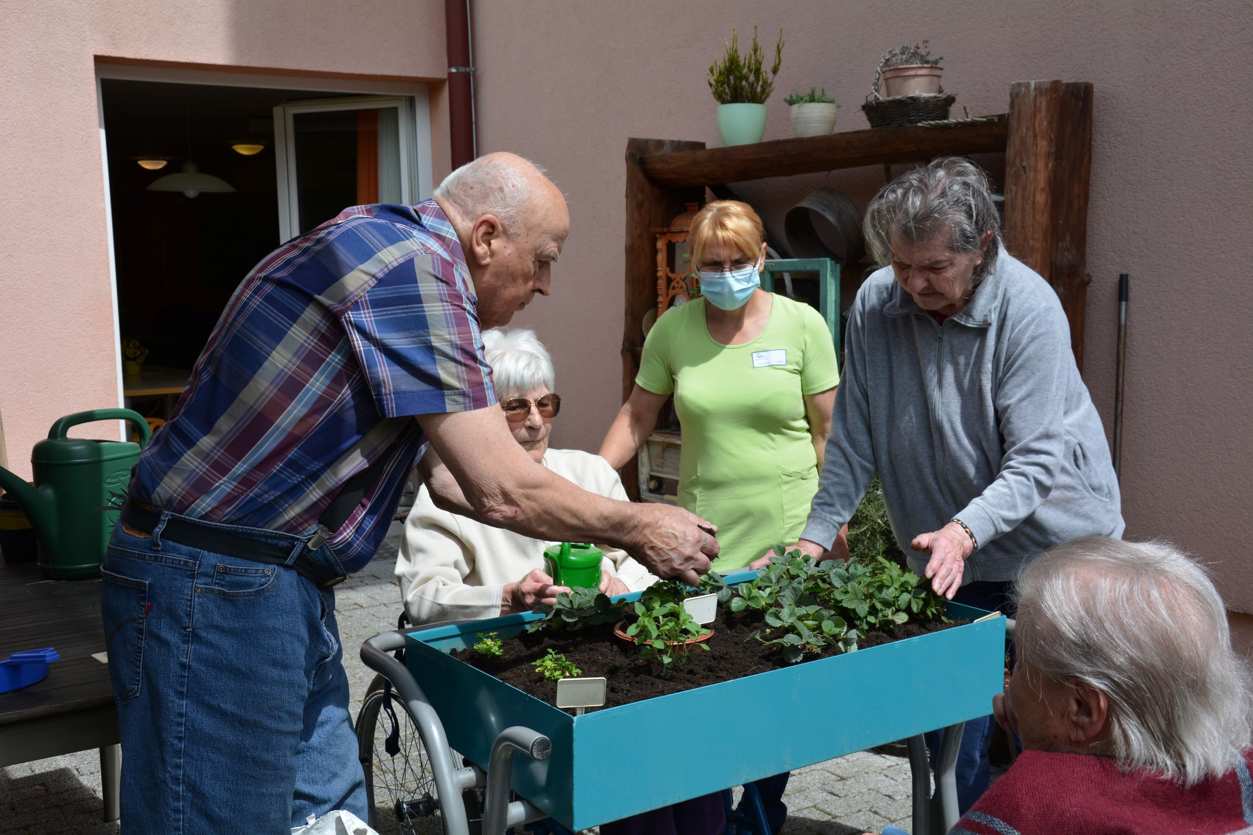 Zasadili smo zunanje rože in začimbe v skupinah Zarja in Spominčice