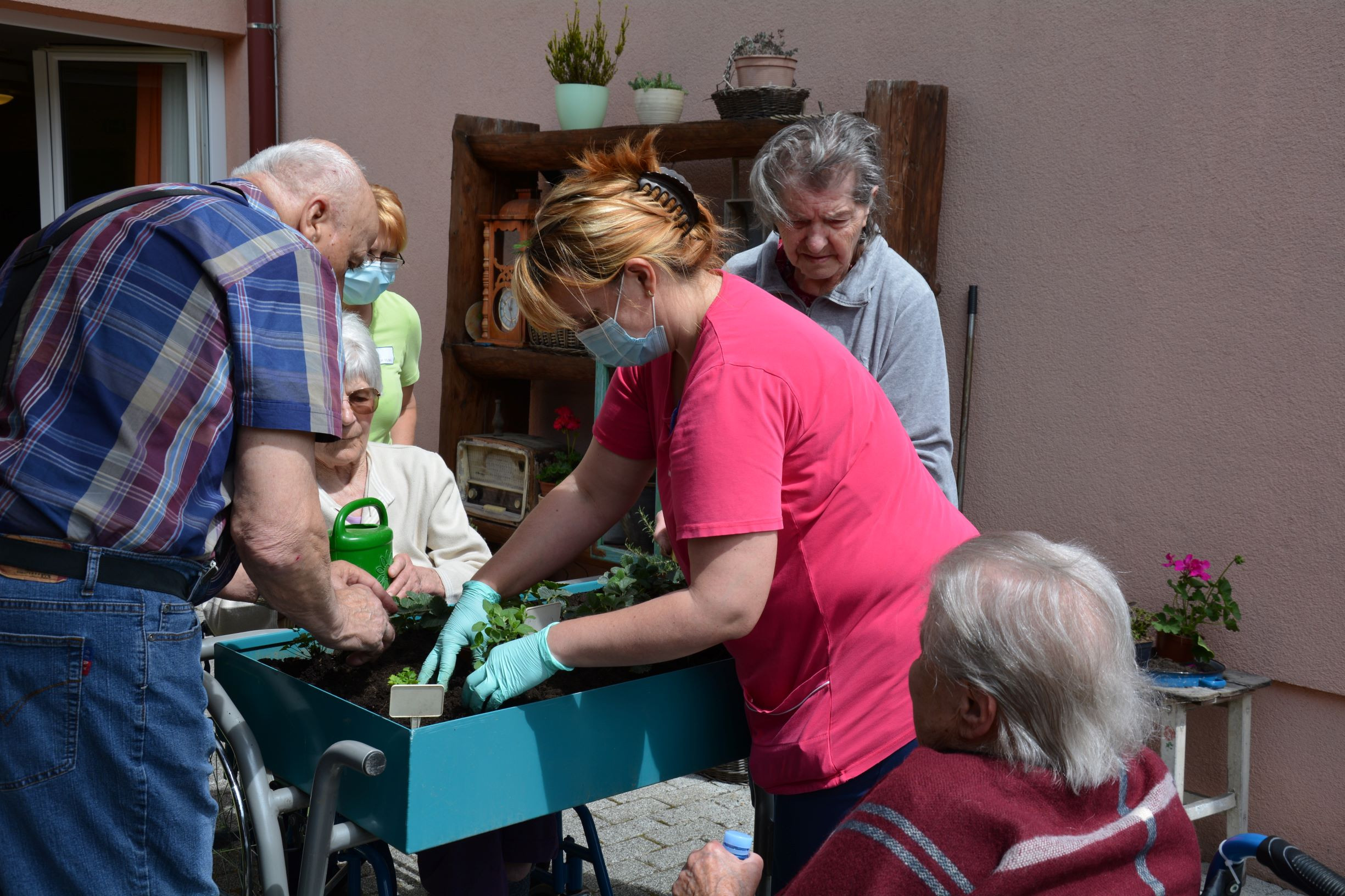 Zasadili smo zunanje rože in začimbe v skupinah Zarja in Spominčice