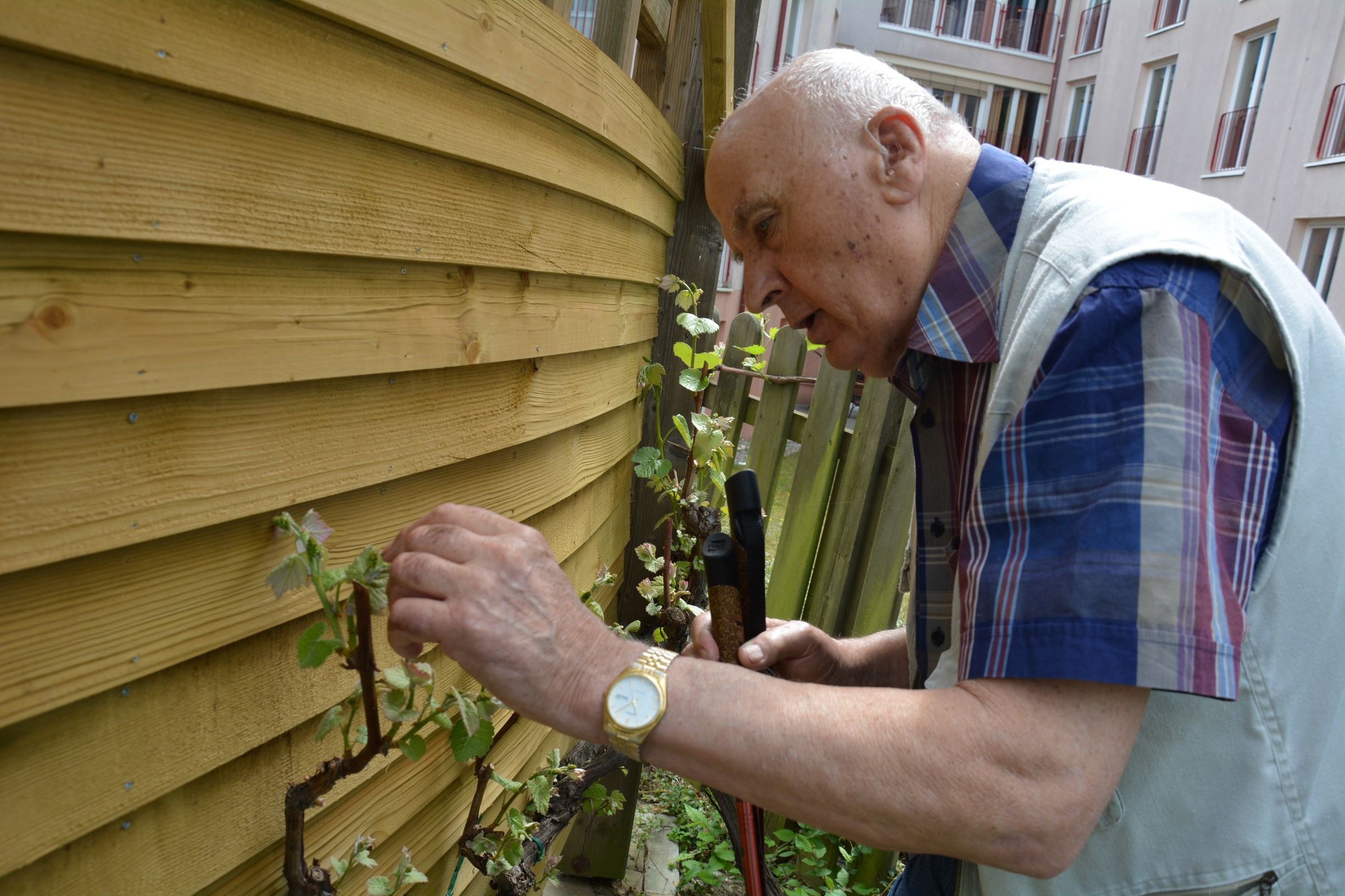 Zasadili smo zunanje rože in začimbe v skupinah Zarja in Spominčice