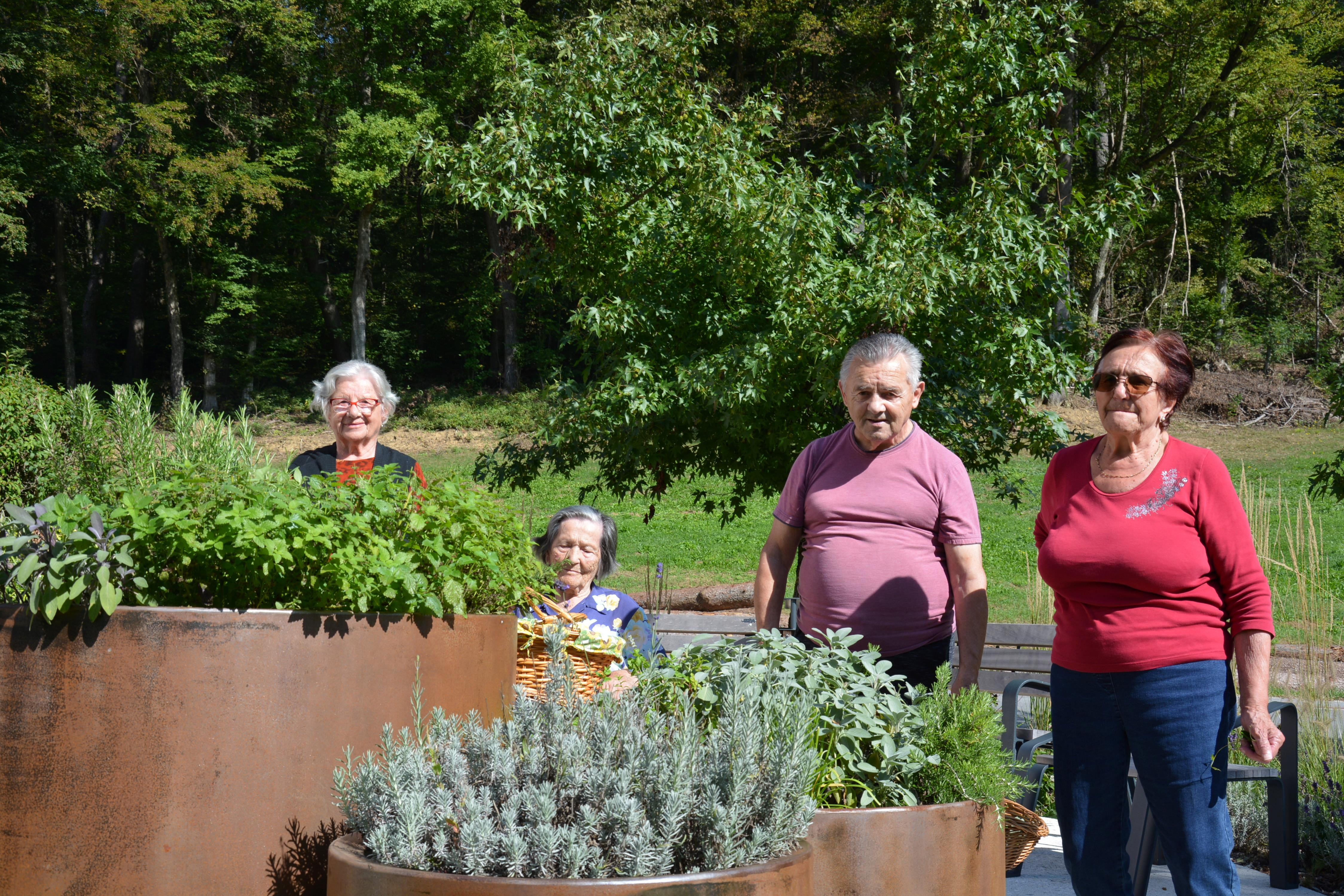 Zelišča iz našega čudovitega parka