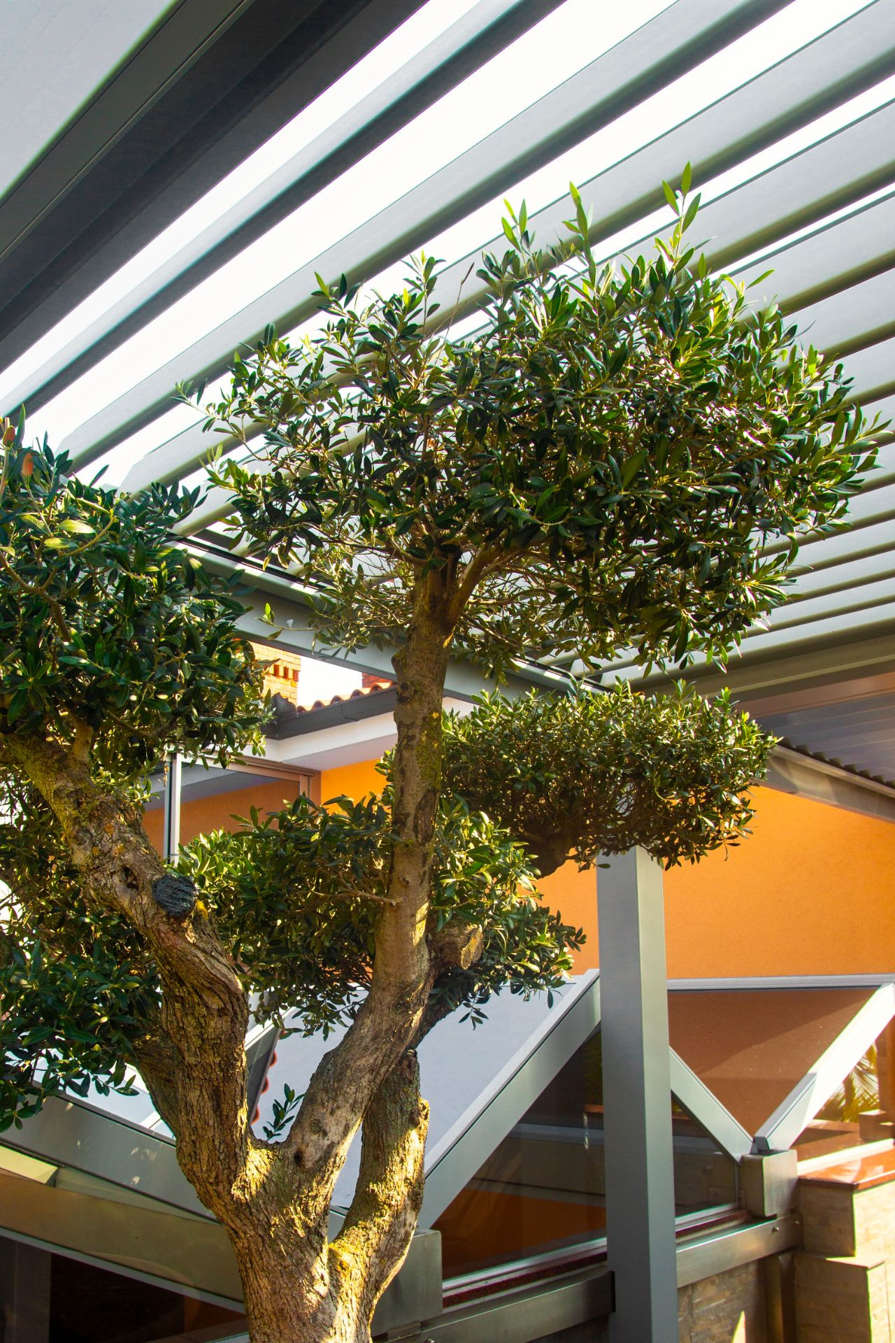 Projekt Pension Silvia - Portorož - Bioklimatska pergola Misteral - Terasa, Brisole, zip rolo