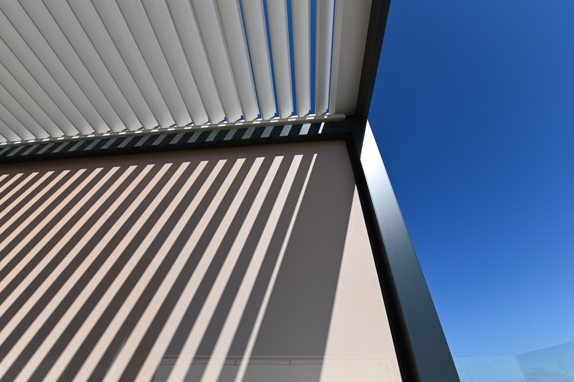 ZIP Screen Rolo Misteral