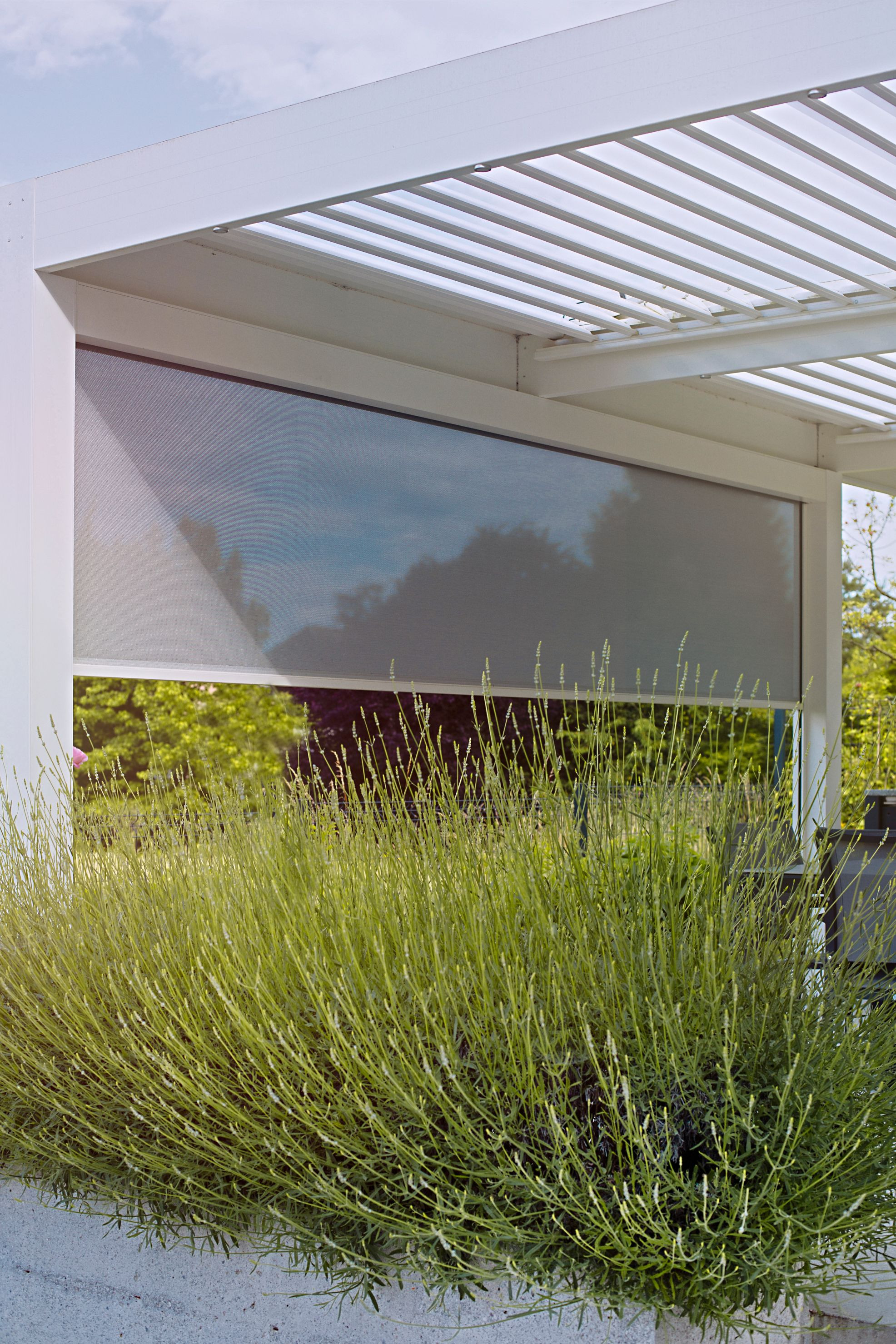 Project VP Ljubljana - Bioclimatic pergola Misteral - Terrace, brisole, zip roller blinds