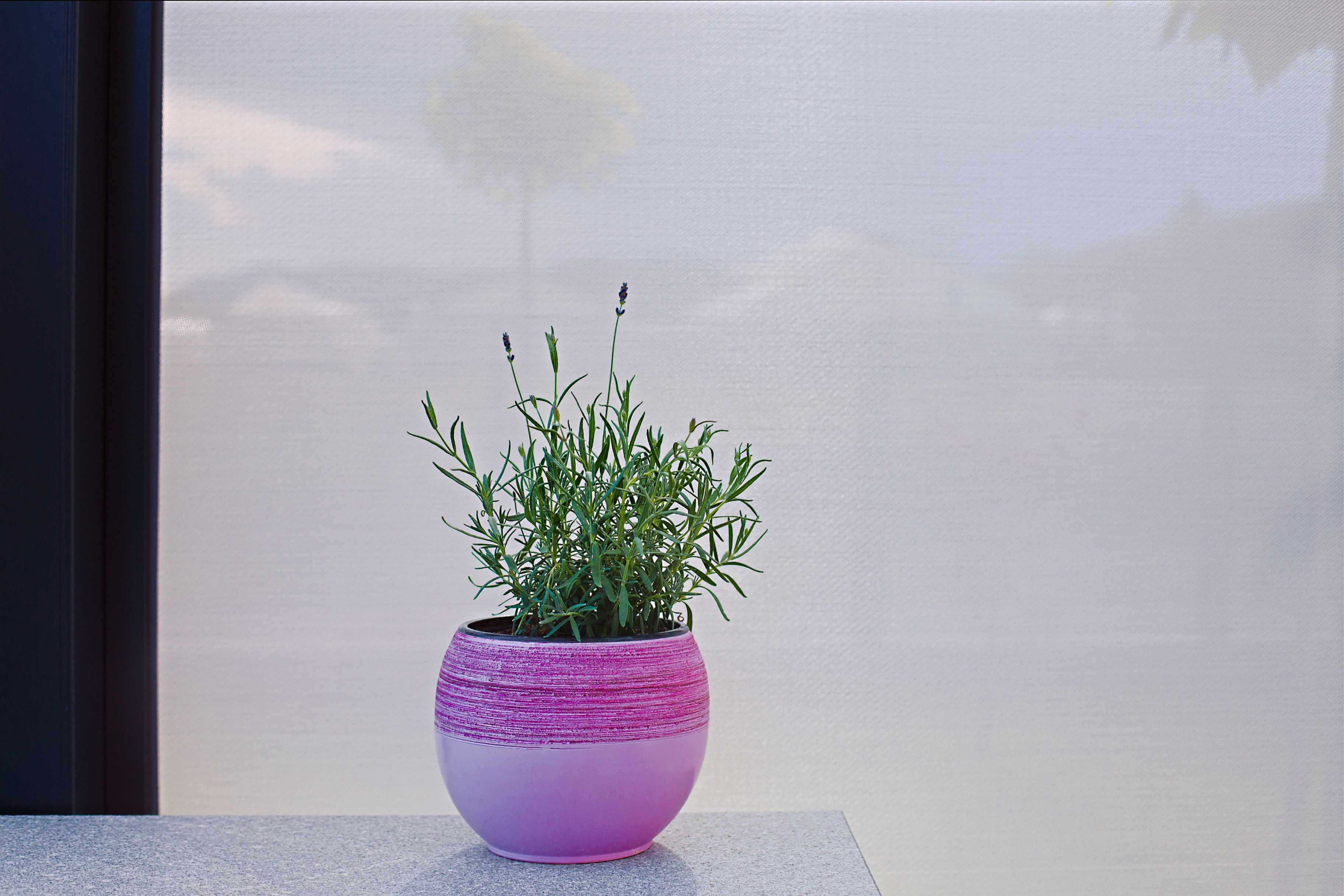 Projekt PG Ljubljana - Die bioklimatische Pergola Misteral - Terrasse, Brisole, Seitliche ZIP-Rollos