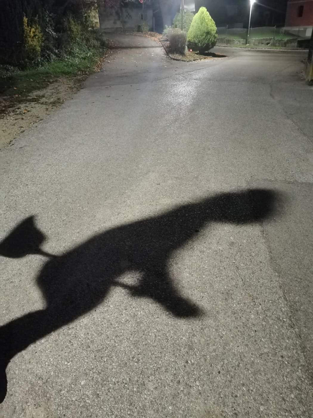 Akcija Paketki čarovniškega presenečenja