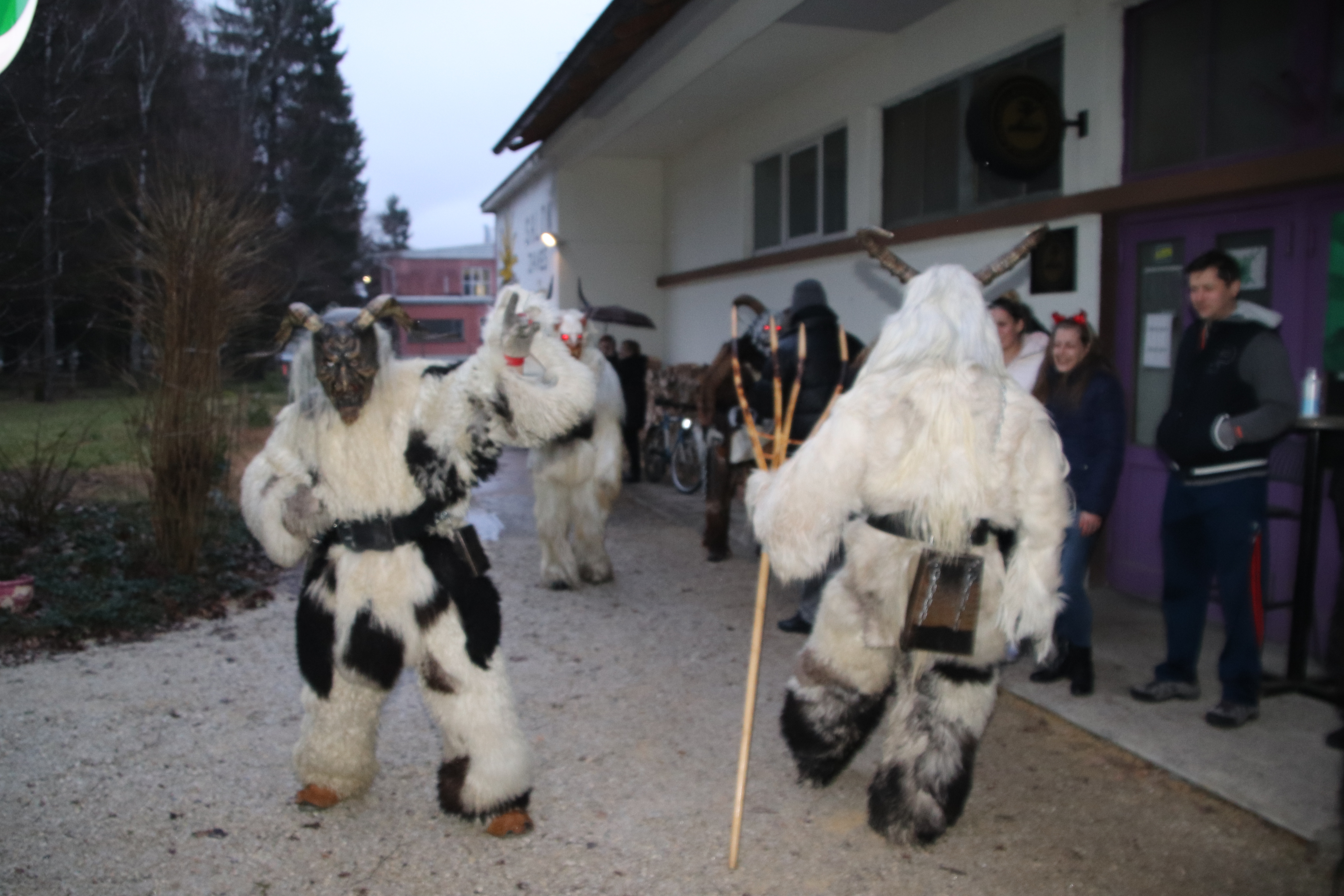 Kapelski krampusi na obisku