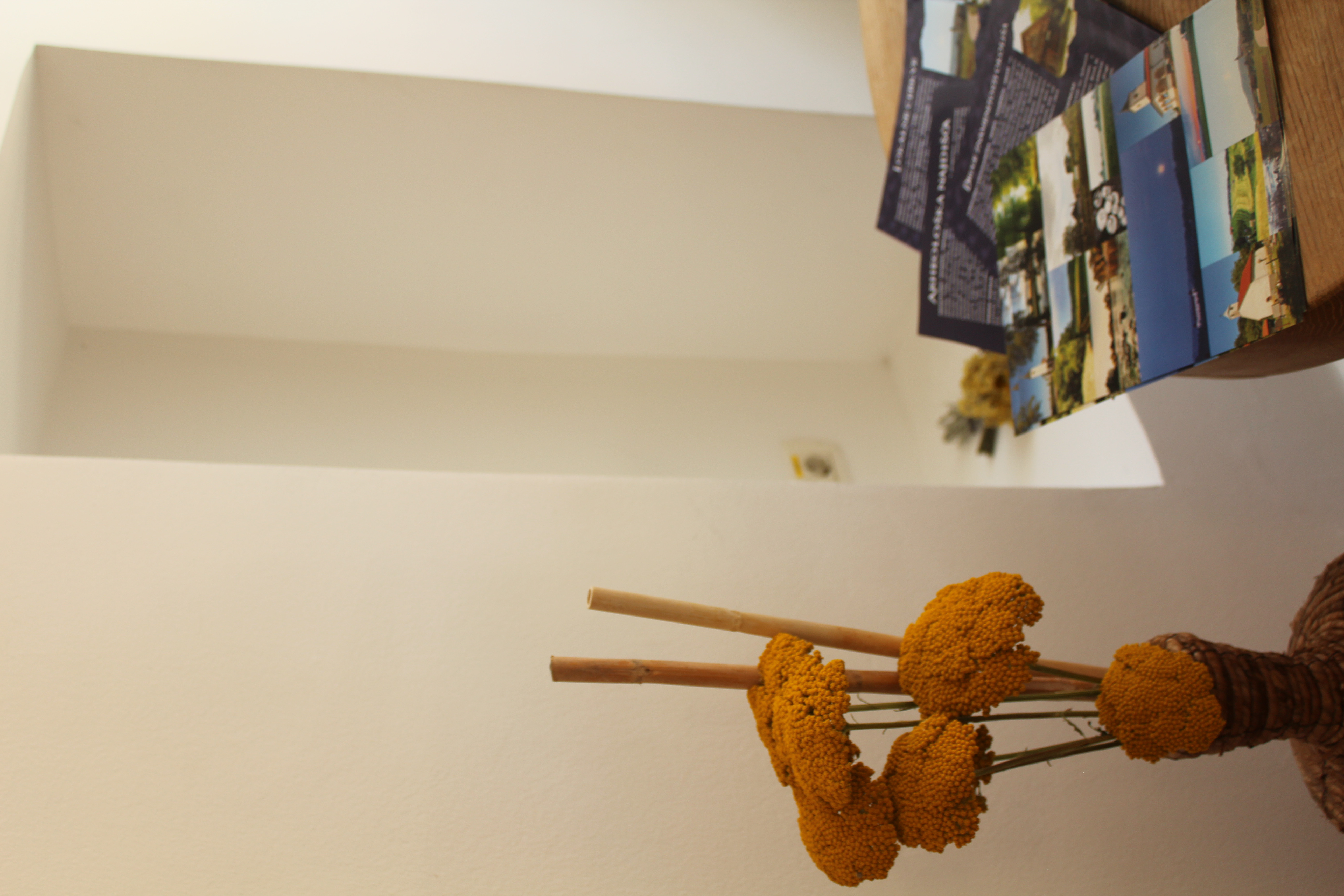 Razstava Prepletanja