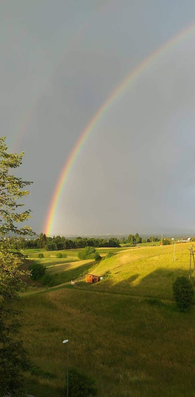 Rezultati natečaja
