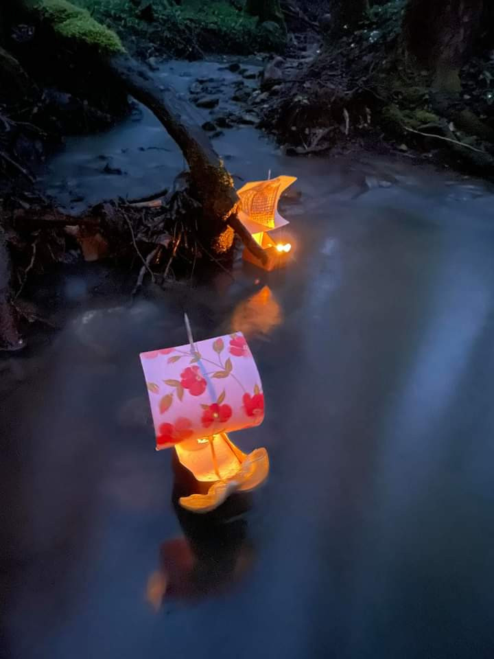 Spuščanje gregorčkov